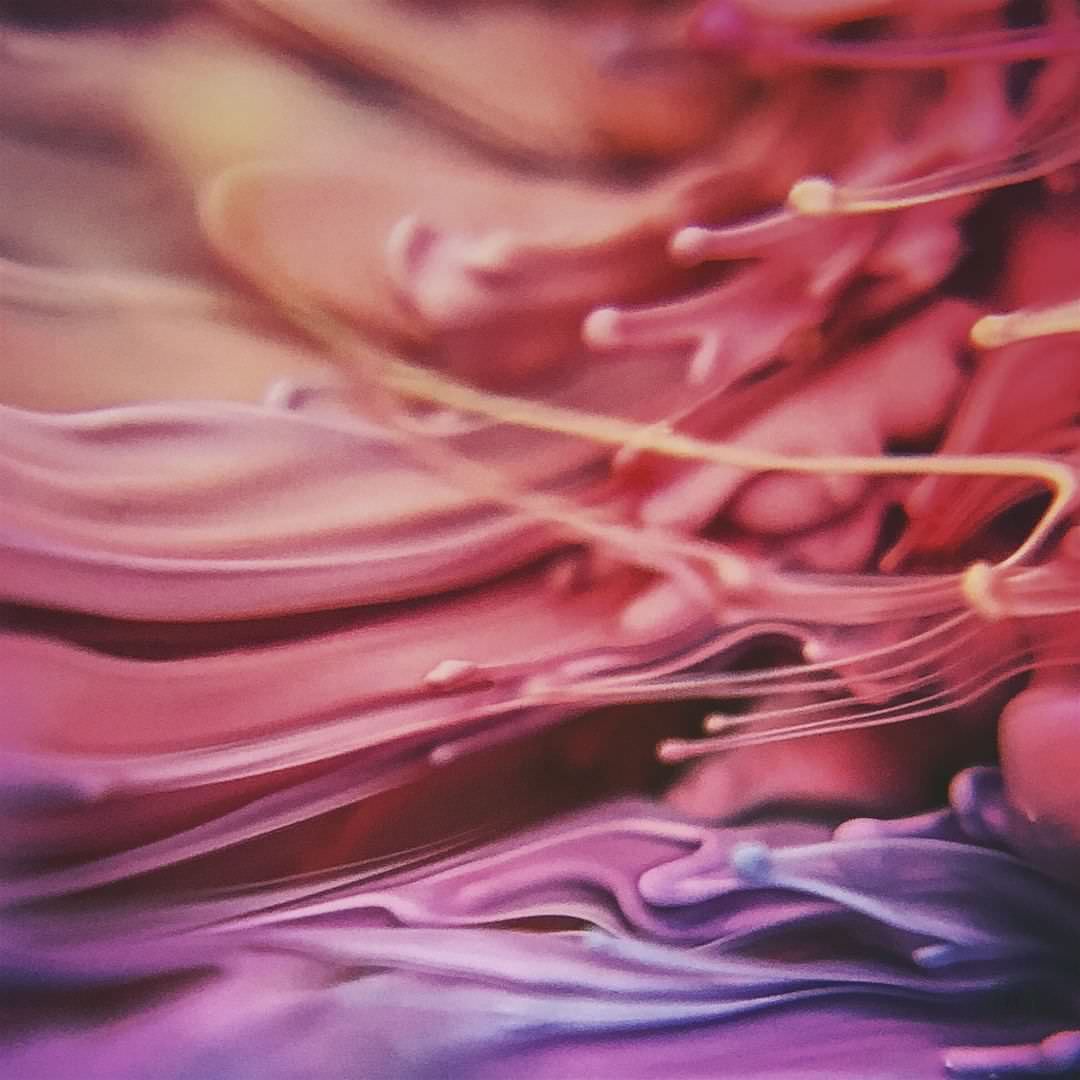@iphonestories .jpg