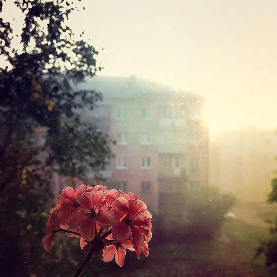 @loveisby .jpg