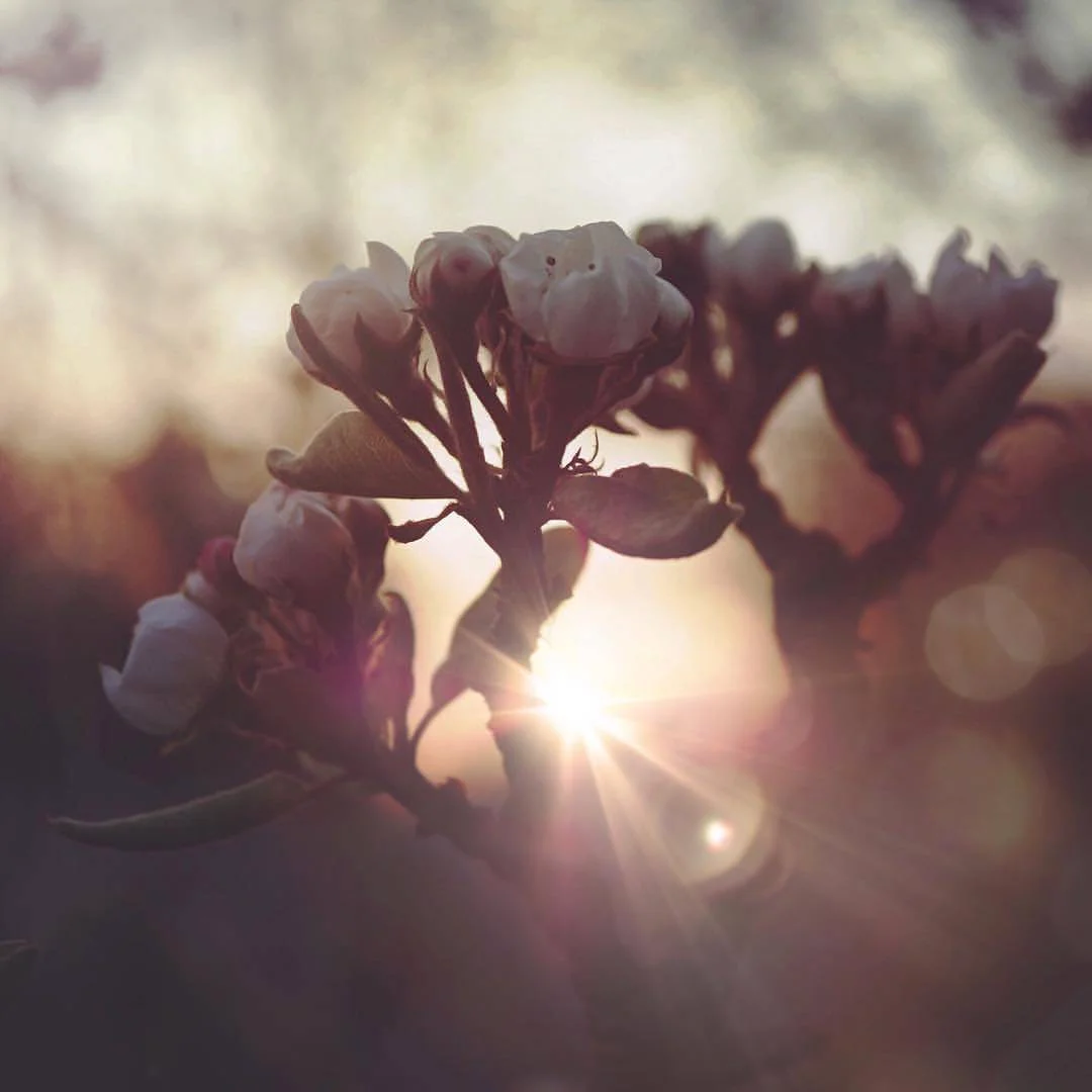 Photo 03-05-2018, 15 20 45.jpg