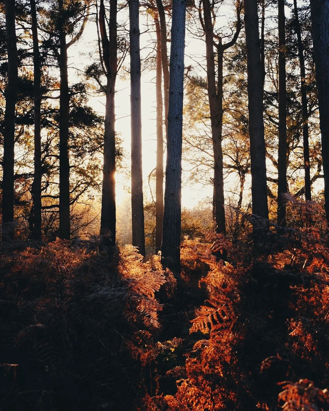 @gemmmmmmmm - 2.jpg