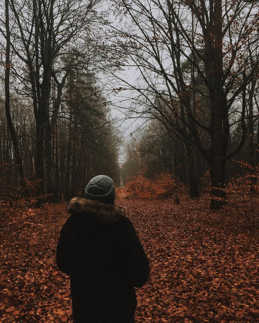 wildersdiaries - 1.jpg