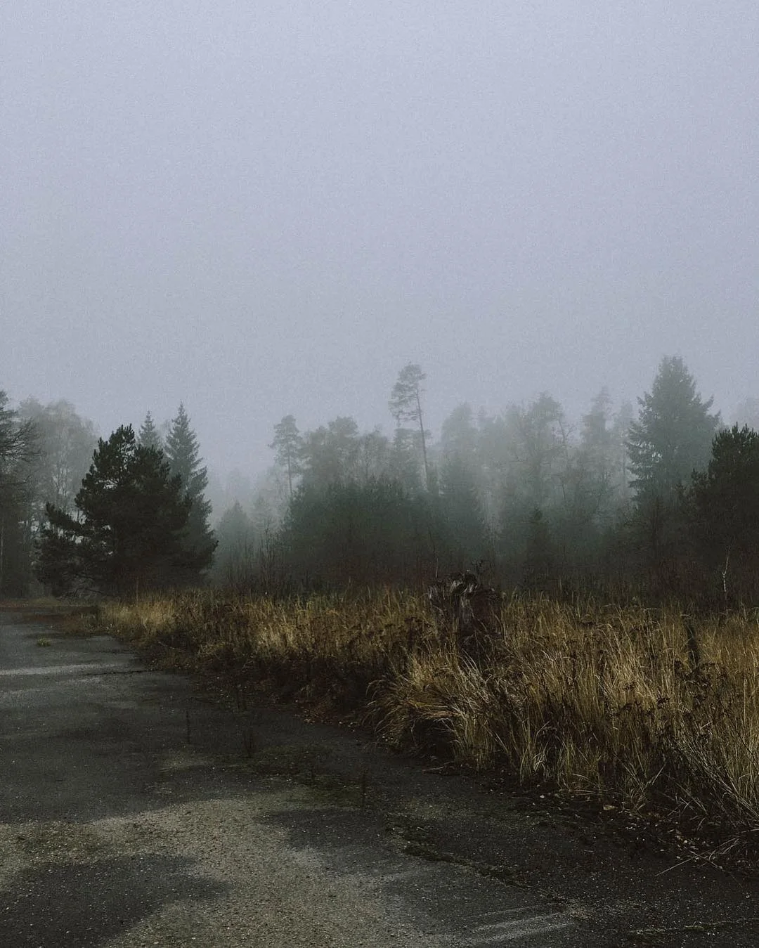 wildersdiaries - 2.jpg
