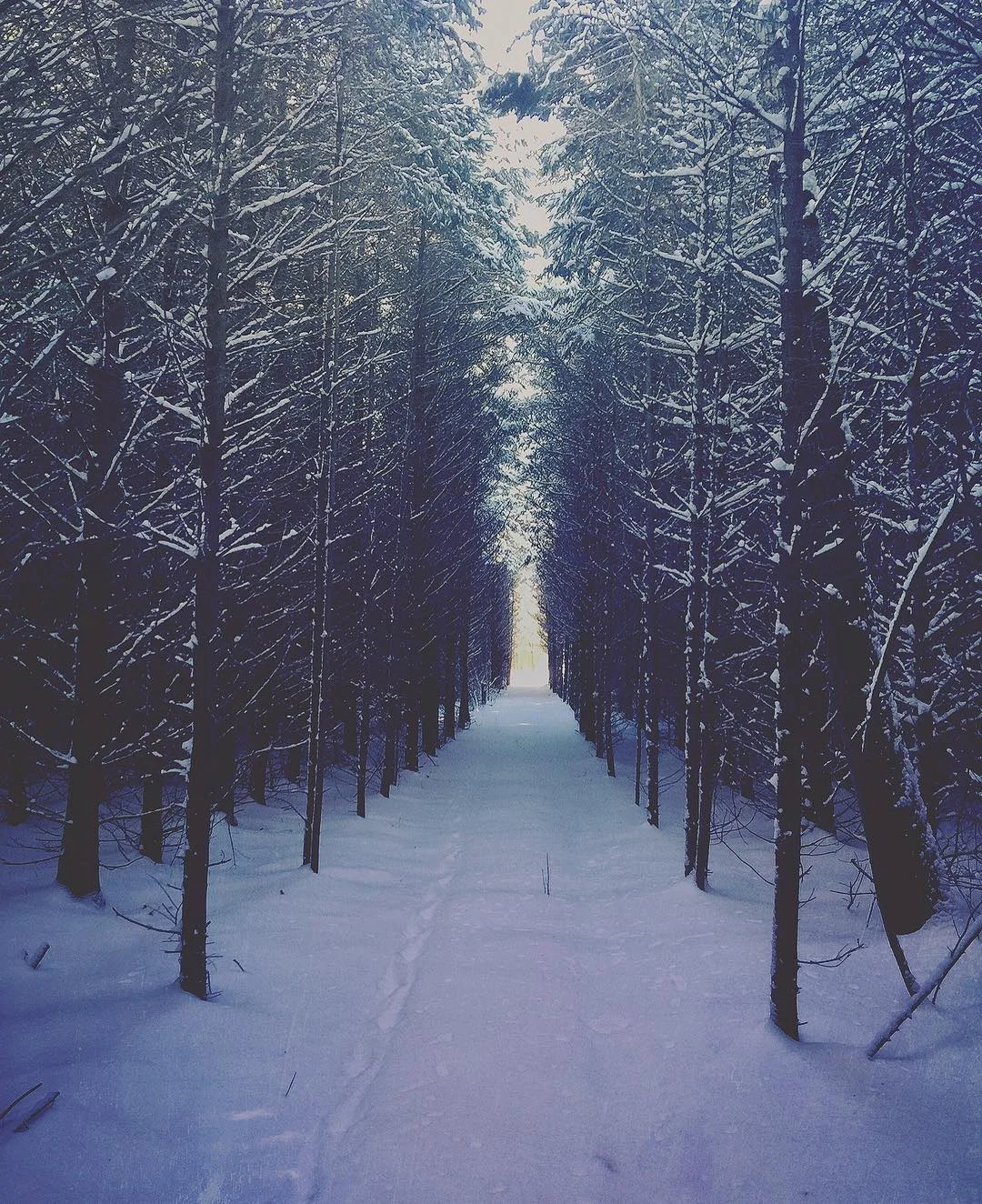 @ruralrevival - 1.jpg