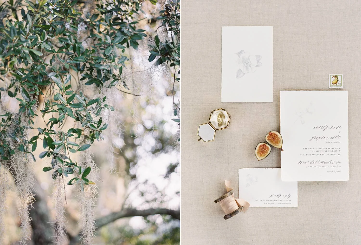 boonehallplantation_wedding_1.jpg