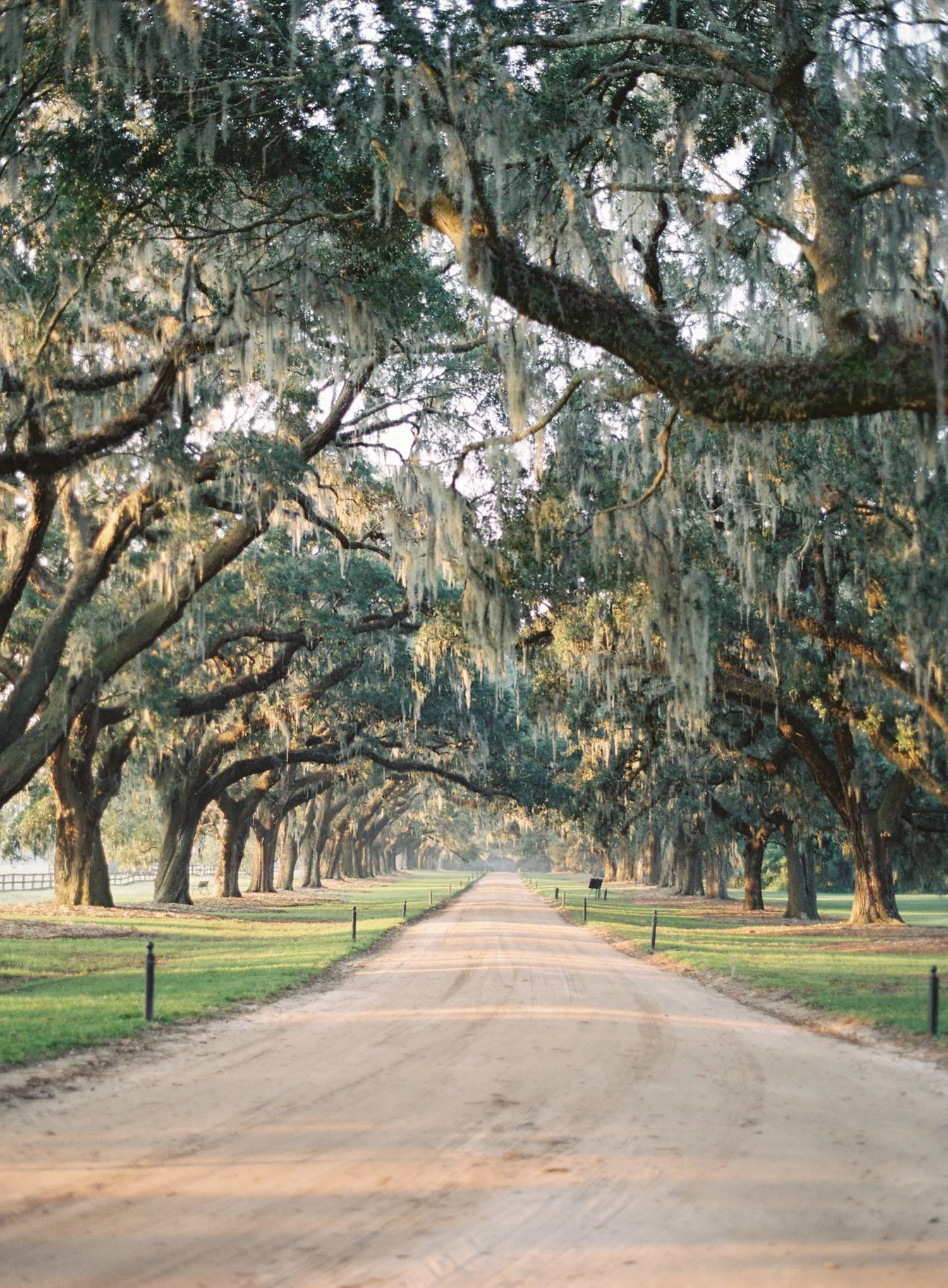 boonehallplantation_wedding_2.jpg