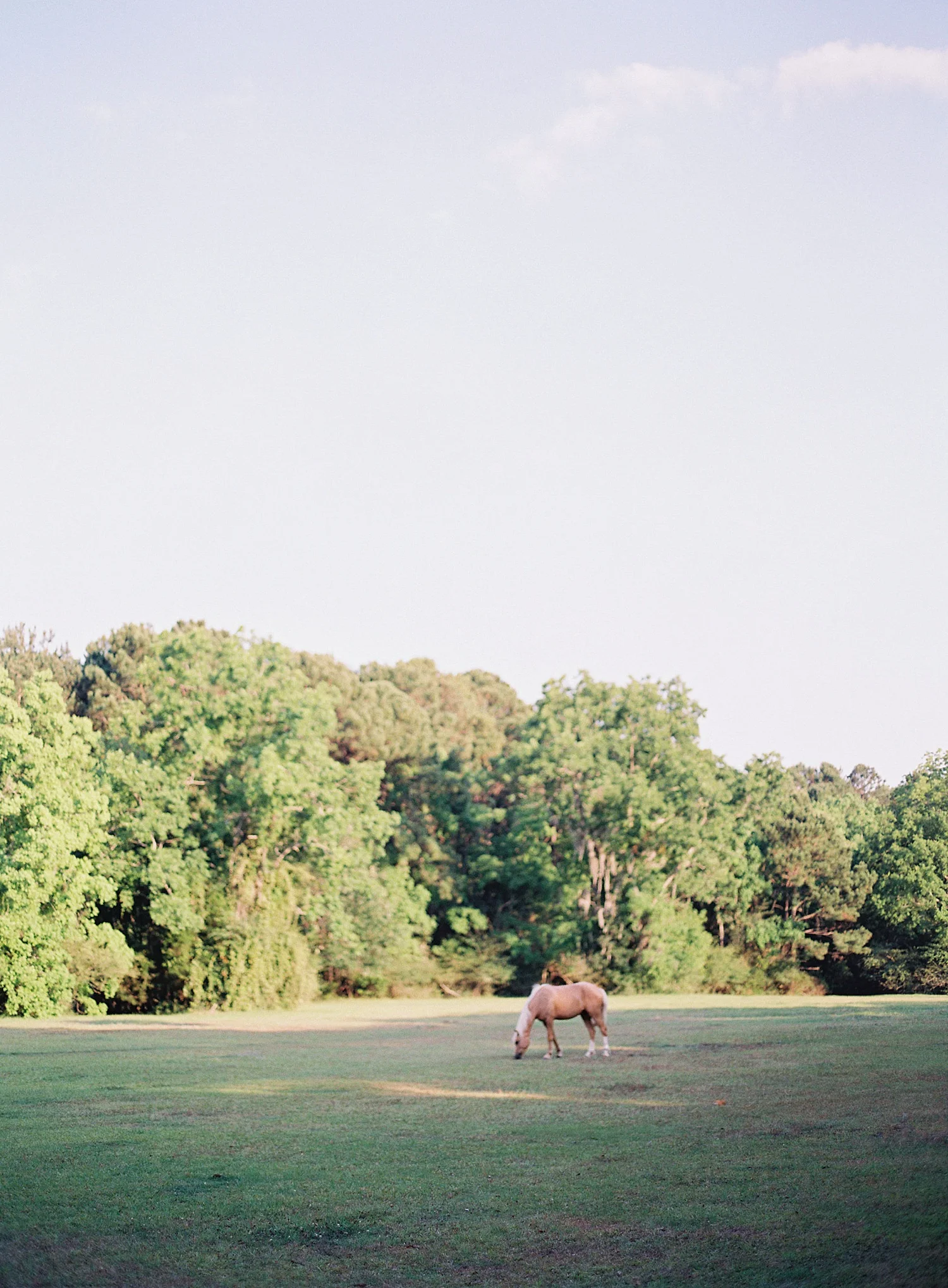 boonehallwedding_8.jpg