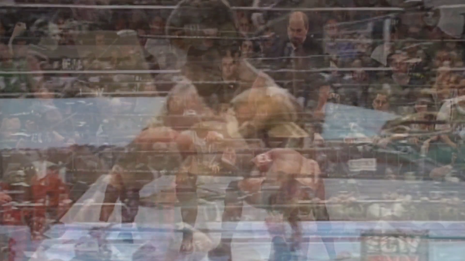 vlcsnap-2024-07-12-20h24m01s430.png