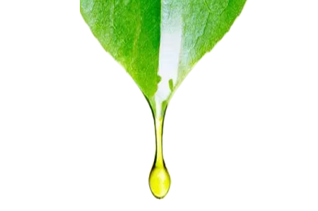 wesleypageVITAMINeOIL.png