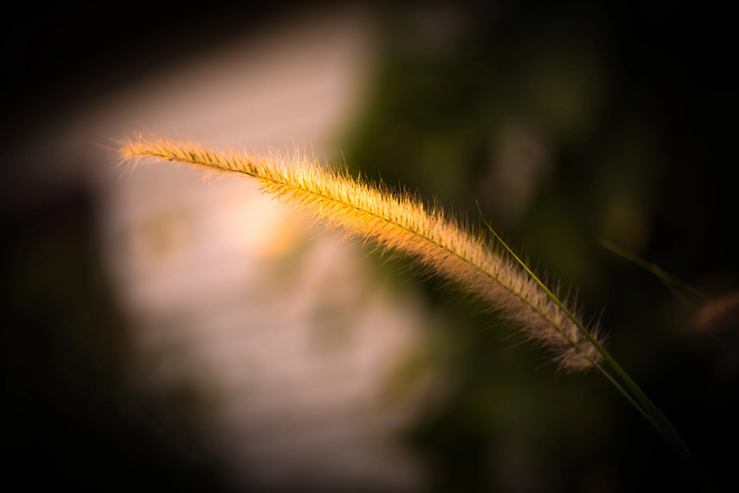 Nature-3.jpg