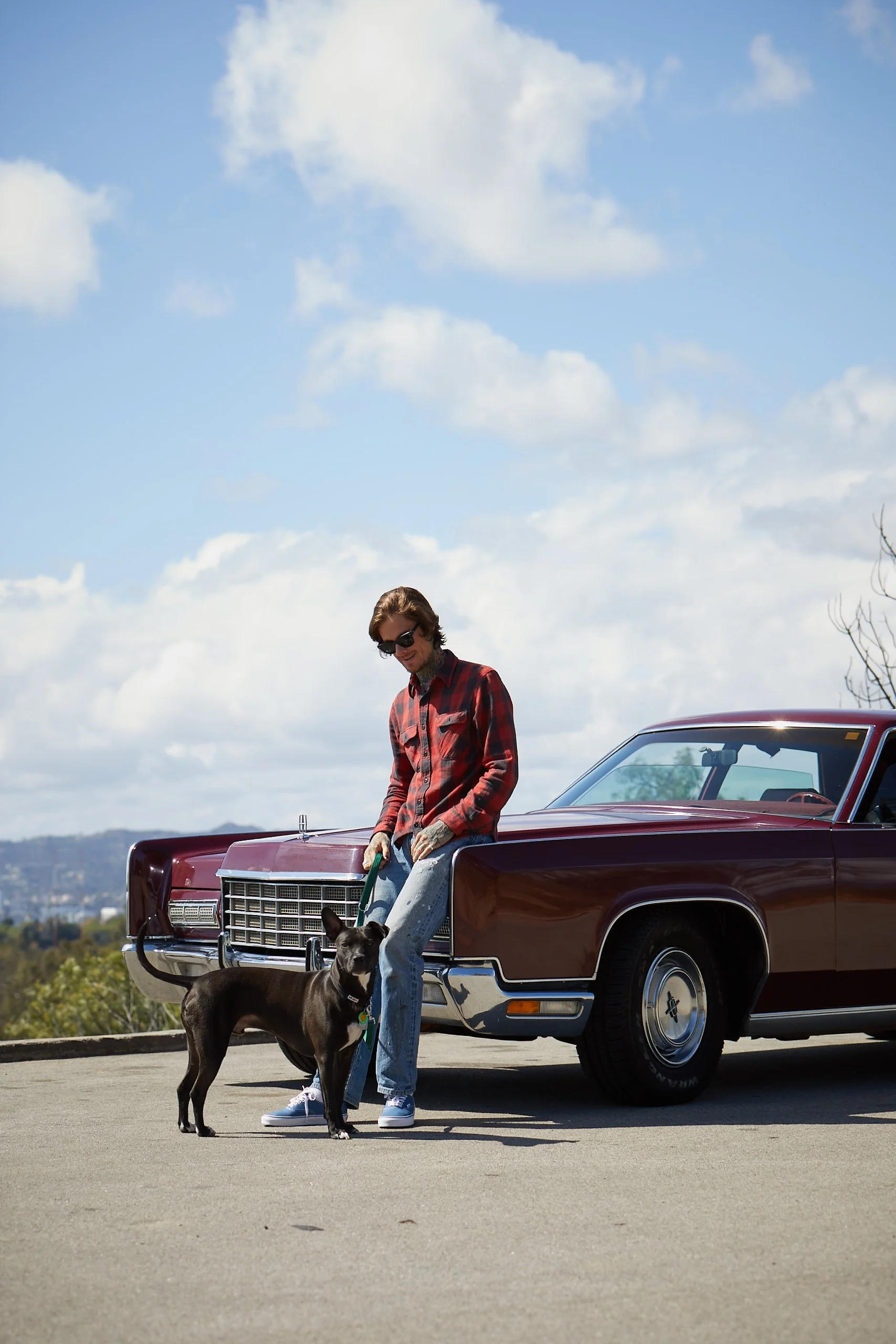 untitled job__88a8703_1458.JPG