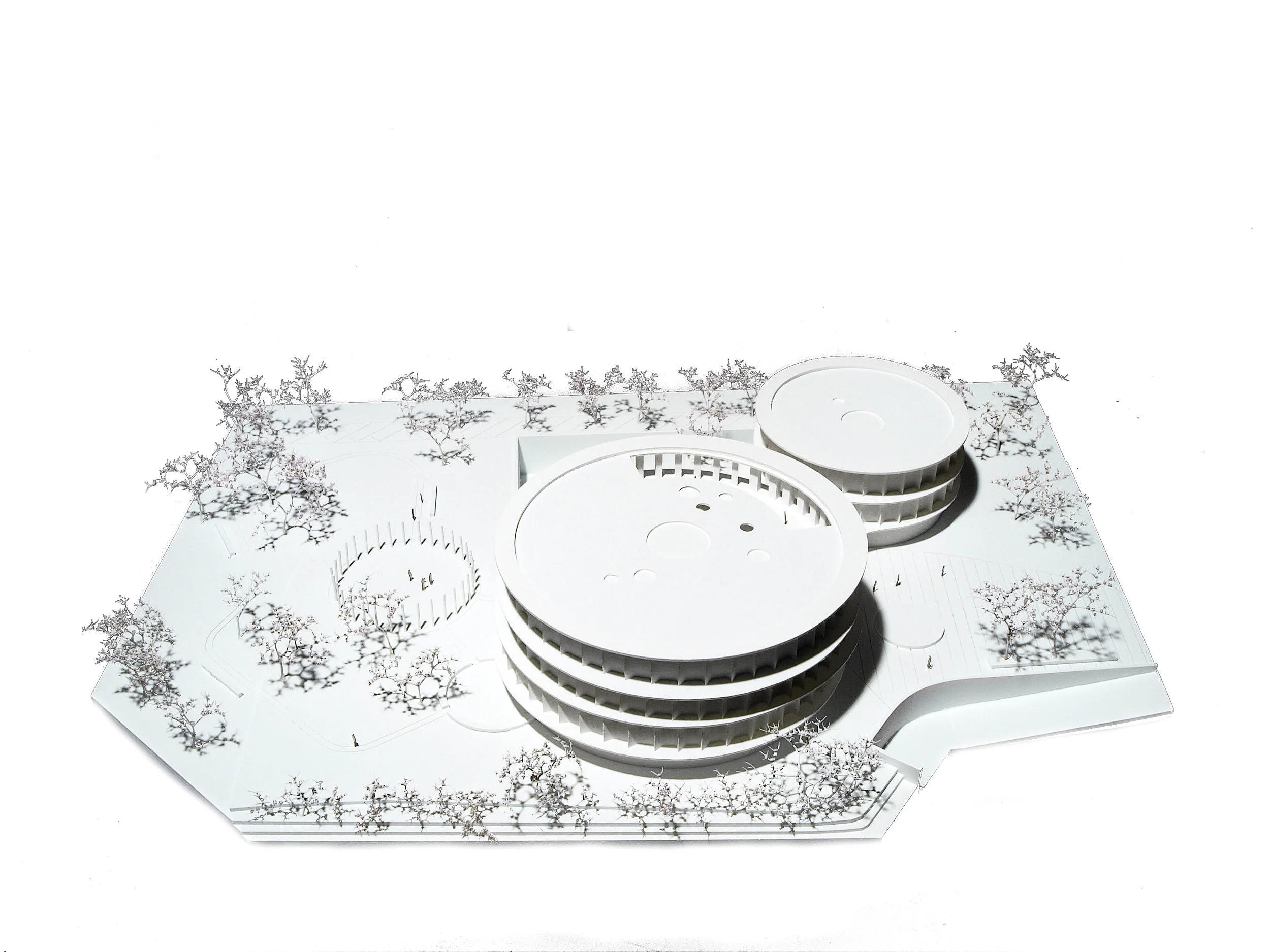 1807 WB Alperia Model weiss.jpg