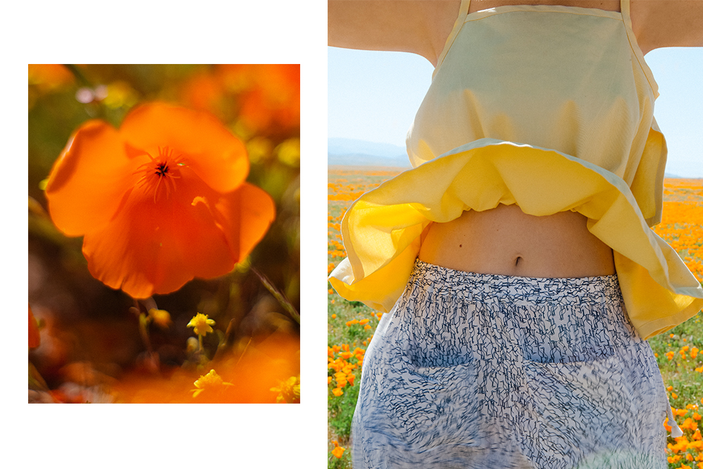 Désiréeklein 'Hedy' top , Selva Negra 'Kinship' shorts