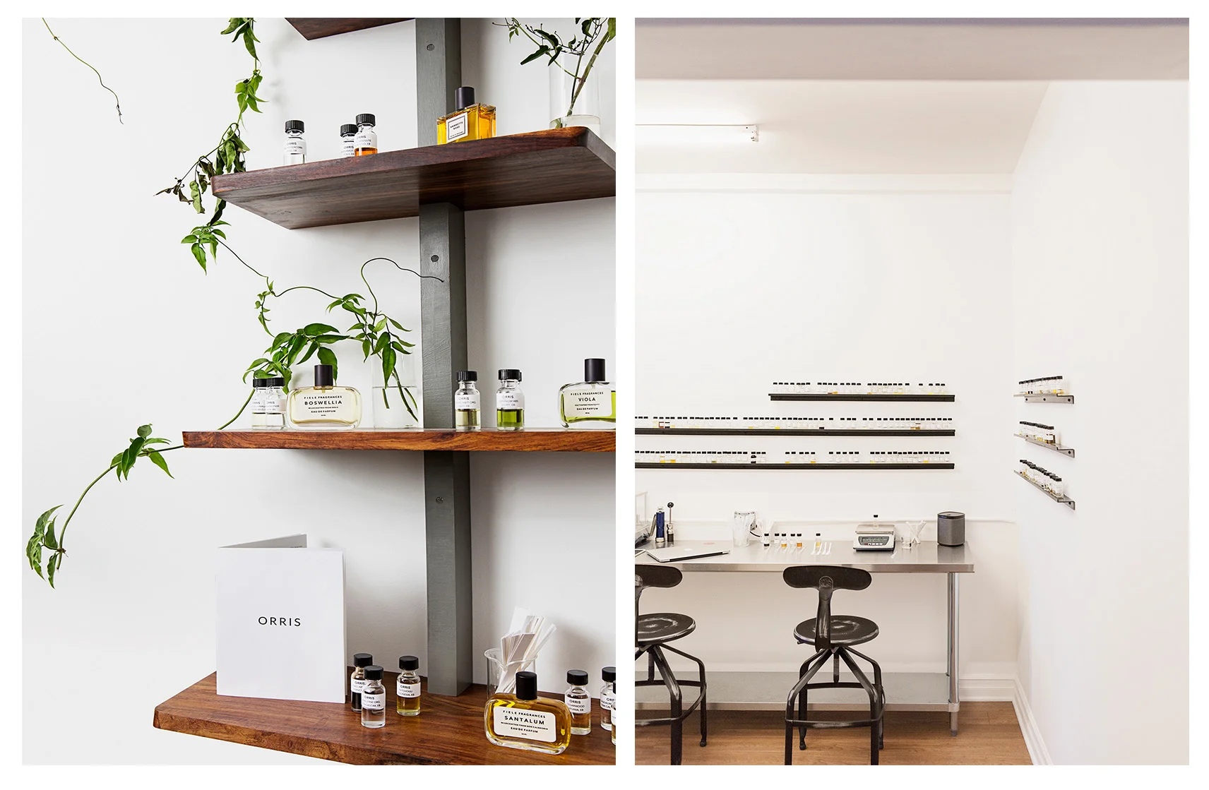 orris-diptych.jpg