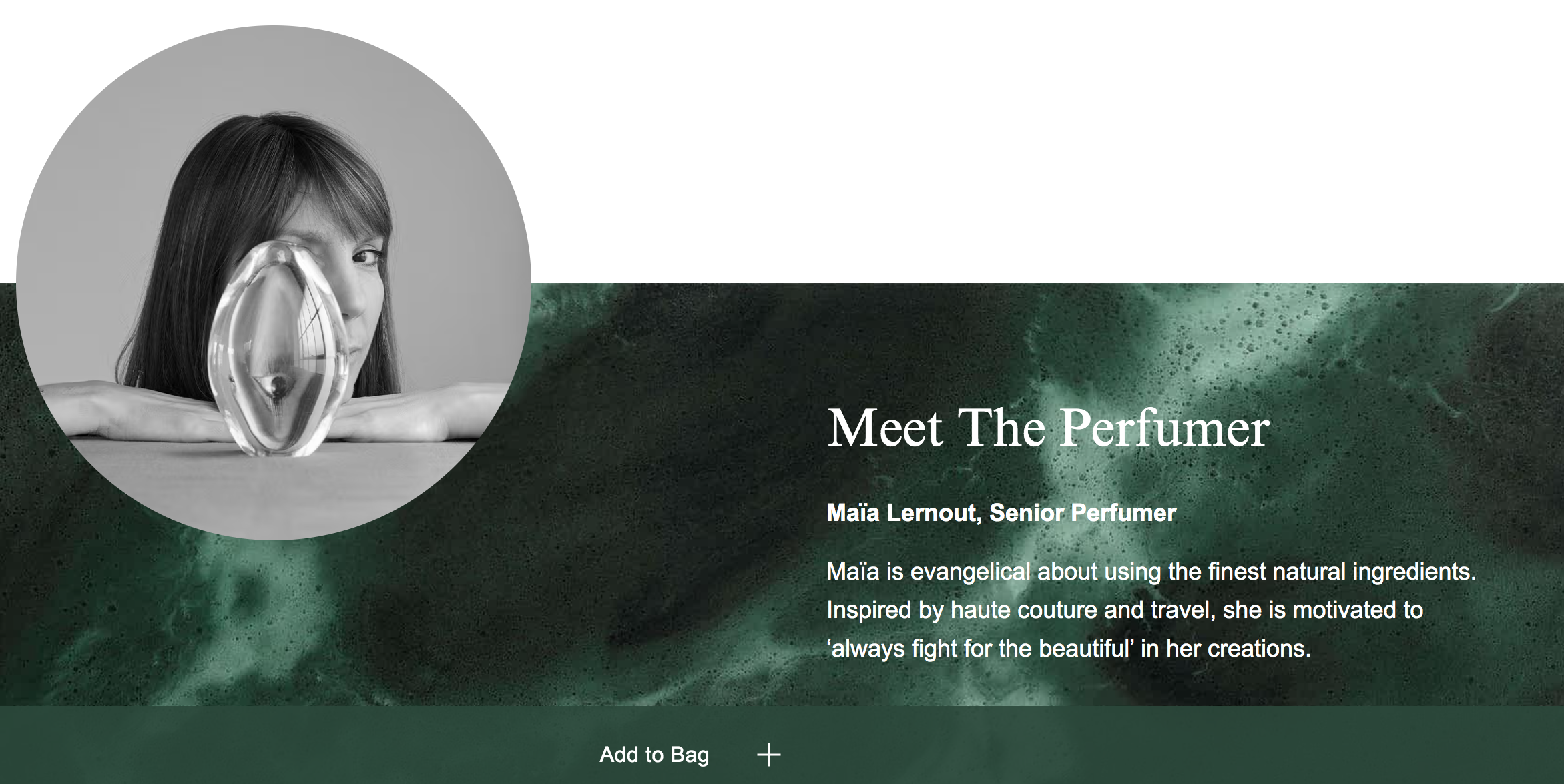 Maia Lernout Quote.png
