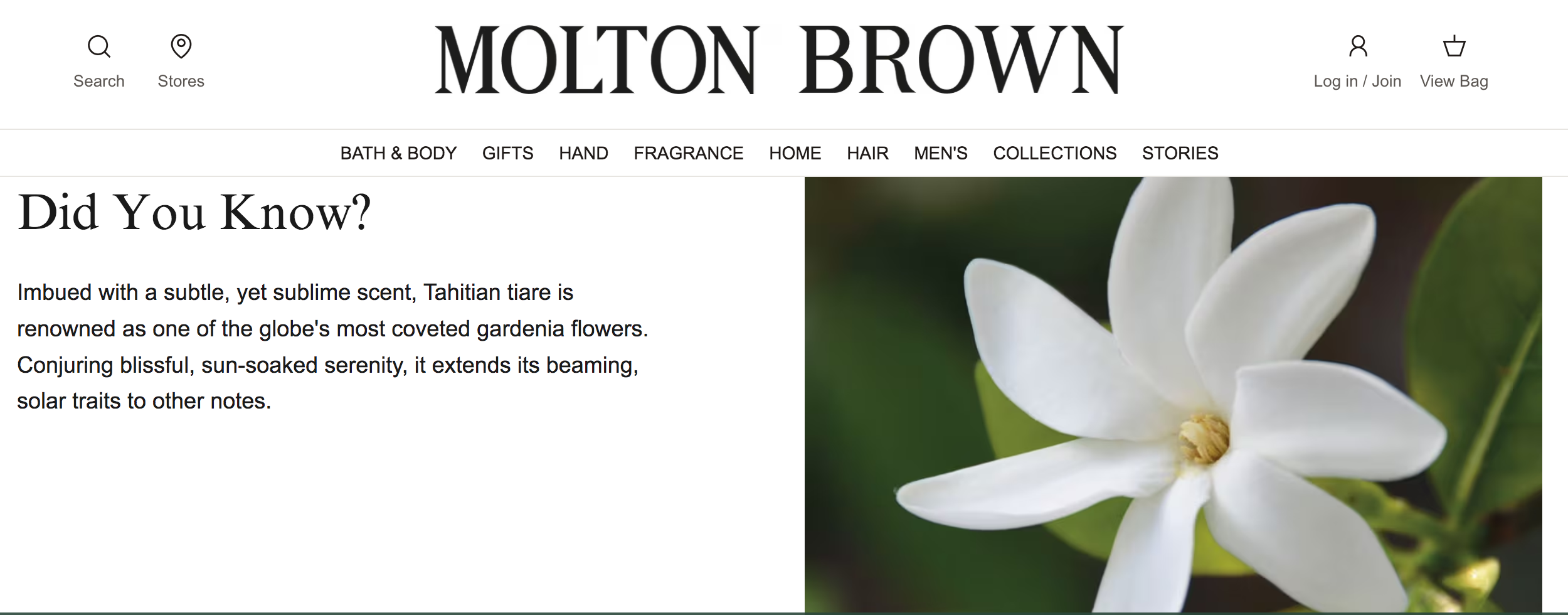 Tiare Flower.png