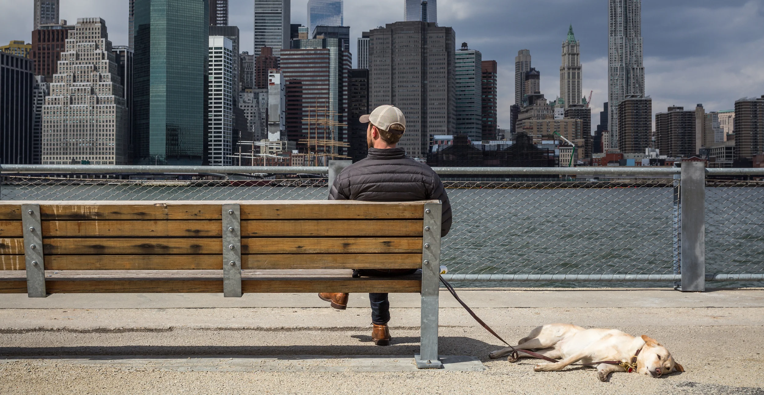dognyc copy.jpeg