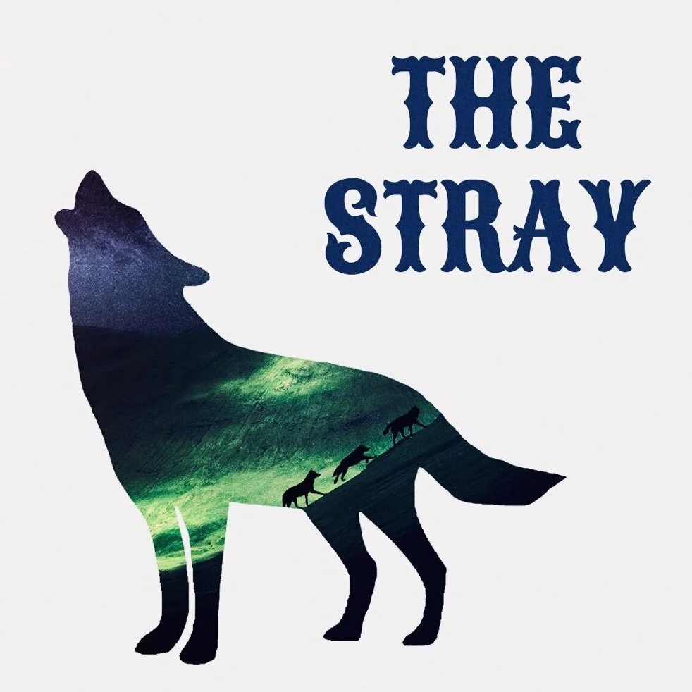 Stray+Logo+copy.jpg