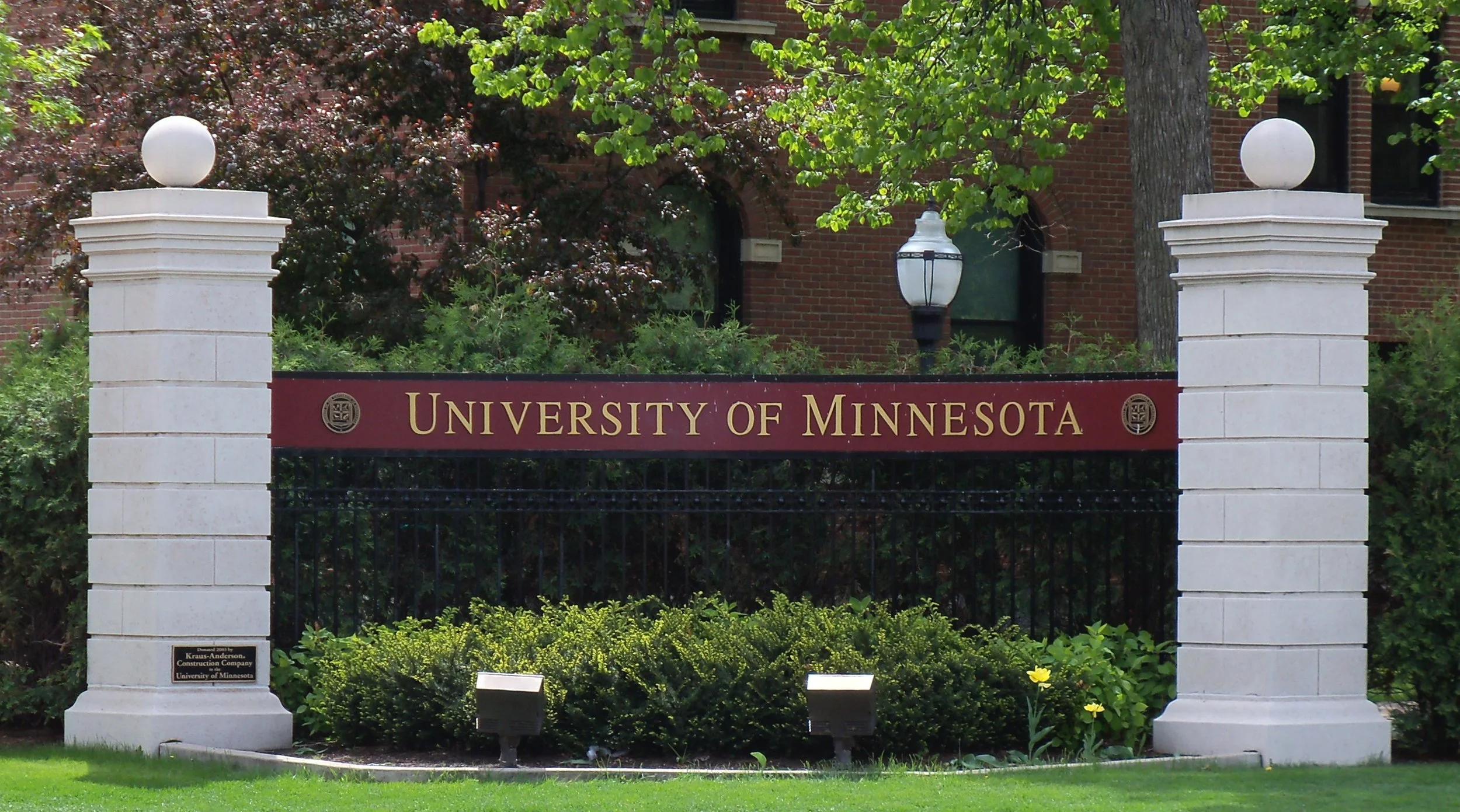 UNIVERSITY OF MINNESOTA