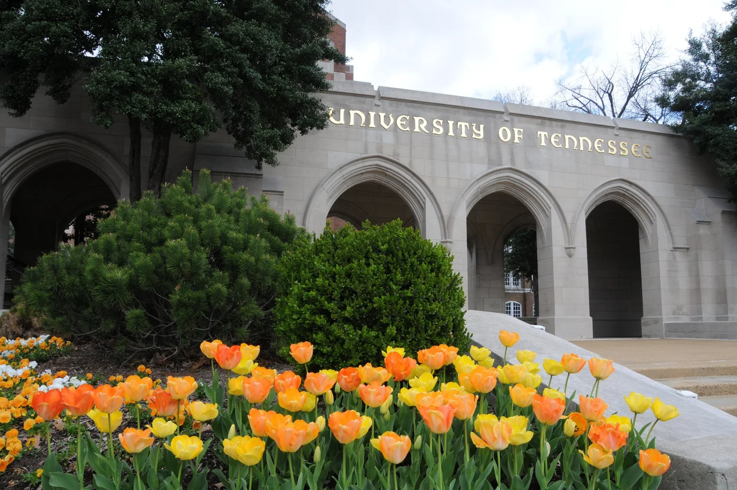 UNIVERSITY OF TENNESSEE HEALTH SCIENCE CENTER — ASAHP