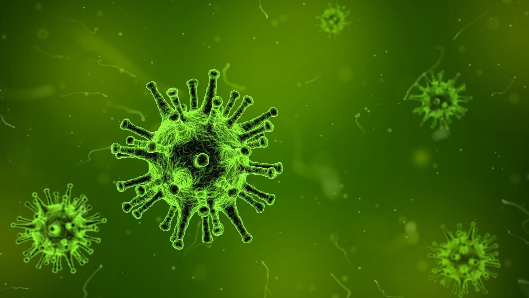 virus-1812092_1920-1.jpg