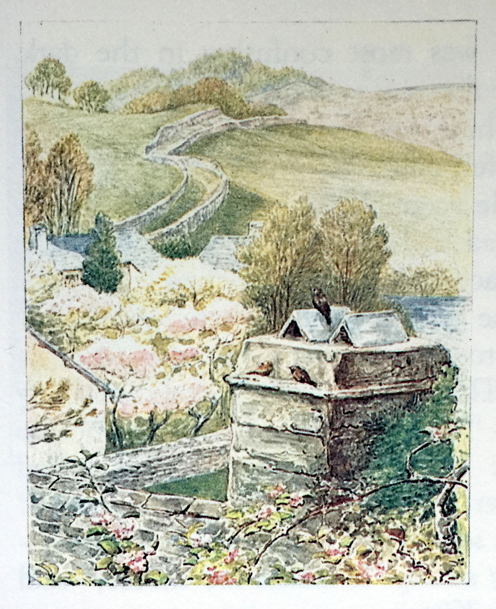 “Think of the maintenance of the outbuildings! Could I learn to prune the fruit trees myself, or would I need to hire a service?” My adult self now asks. “The cable is buried, right? A dish would look so tacky against the stonework.”