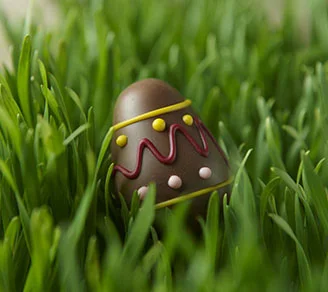choc egg in grass.jpg