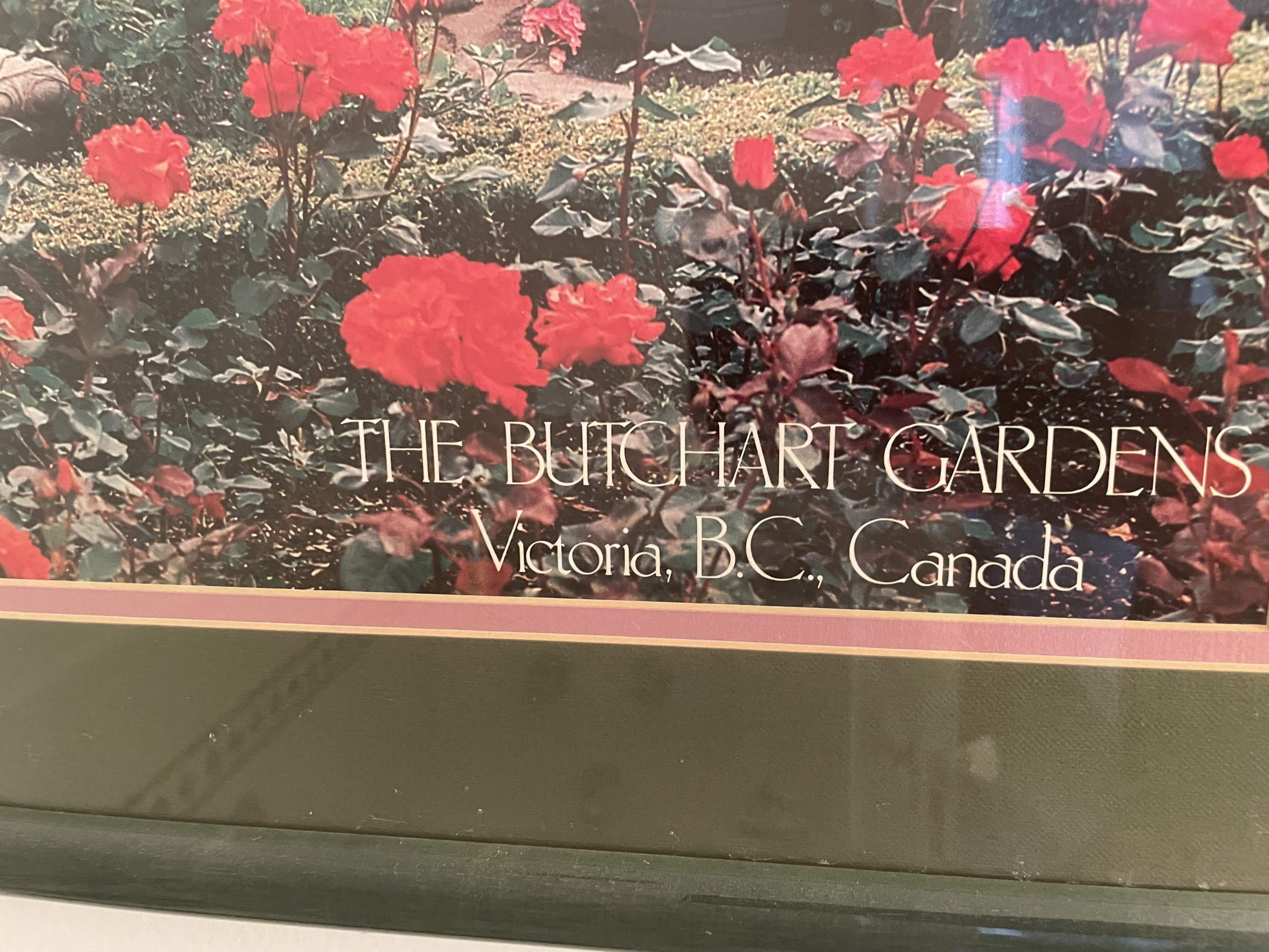 IMG_4519.jpeg