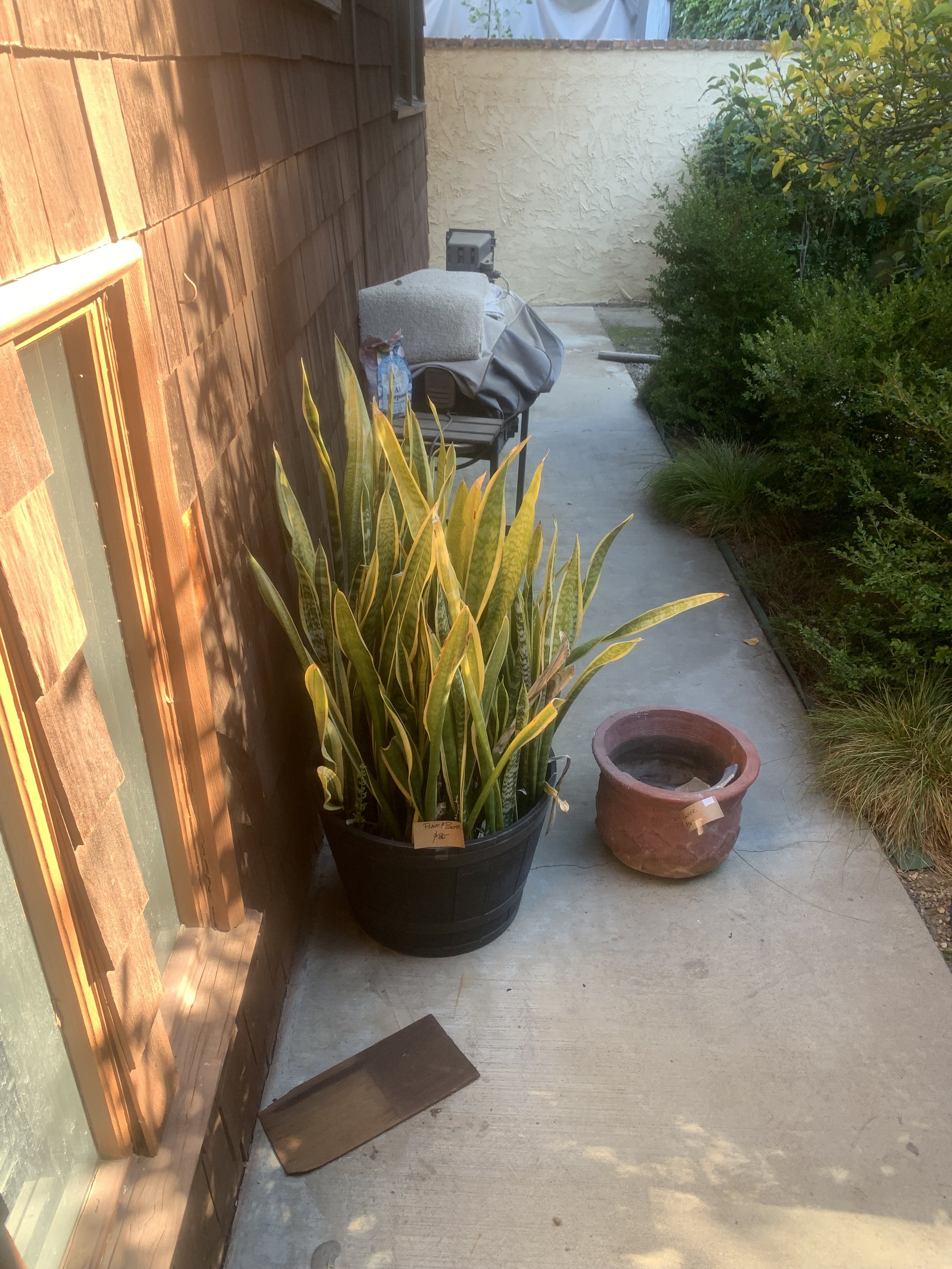 IMG_8070.jpeg