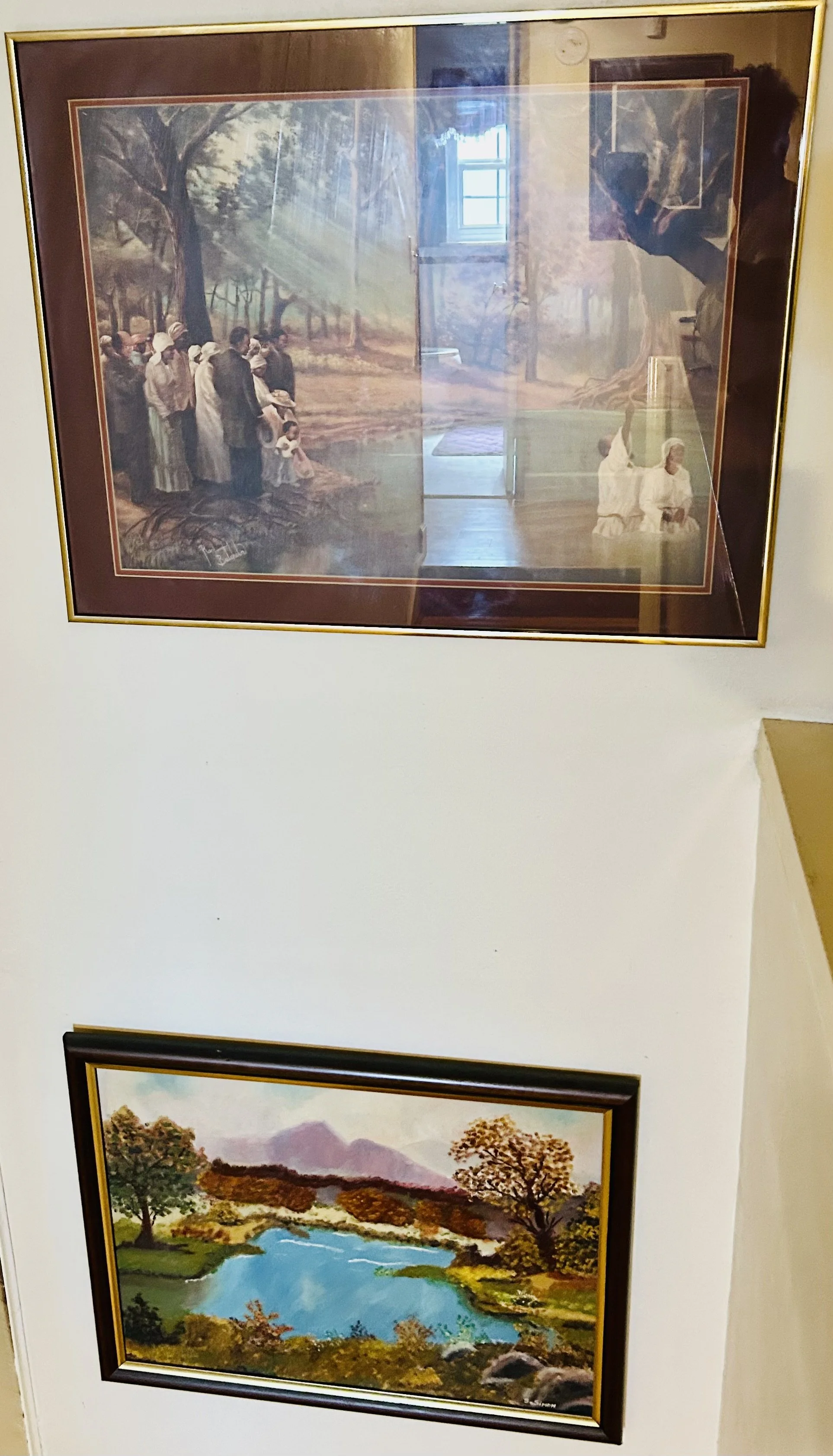 IMG_5986.jpeg