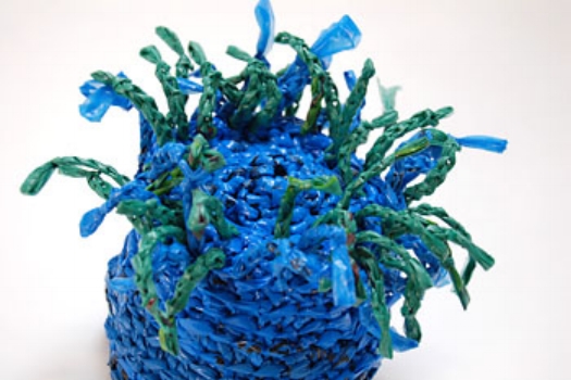 Michelle L anemone.jpg
