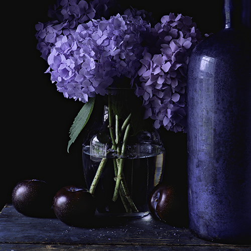 Still-Life-With-Hydrangea-and-Plums.jpg