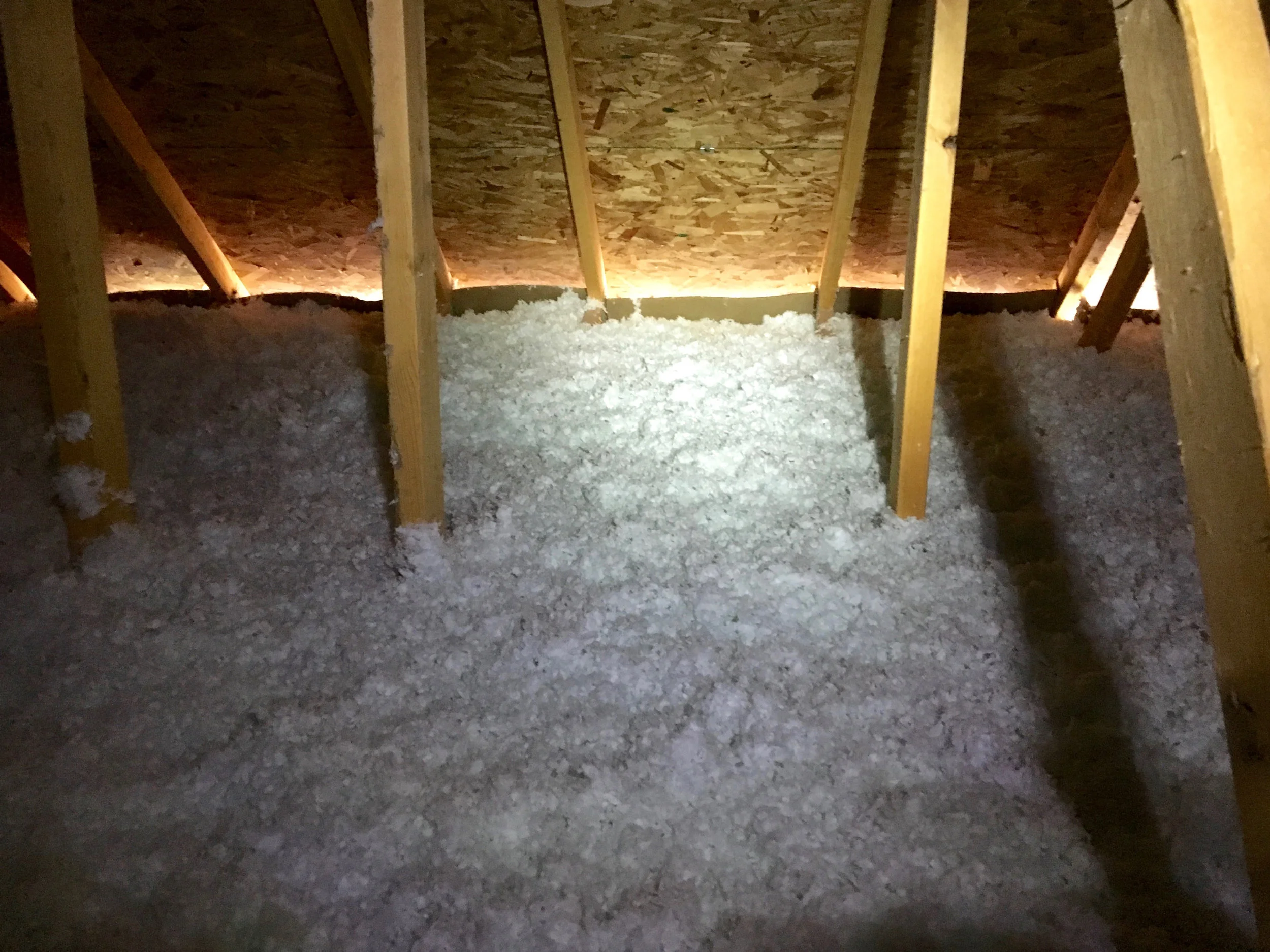 Signature insulation 4.jpg