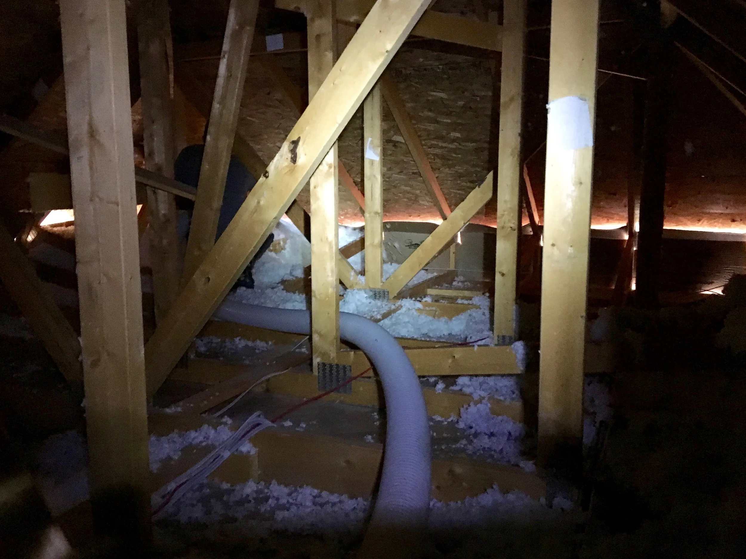 Signature insulation 2.jpg