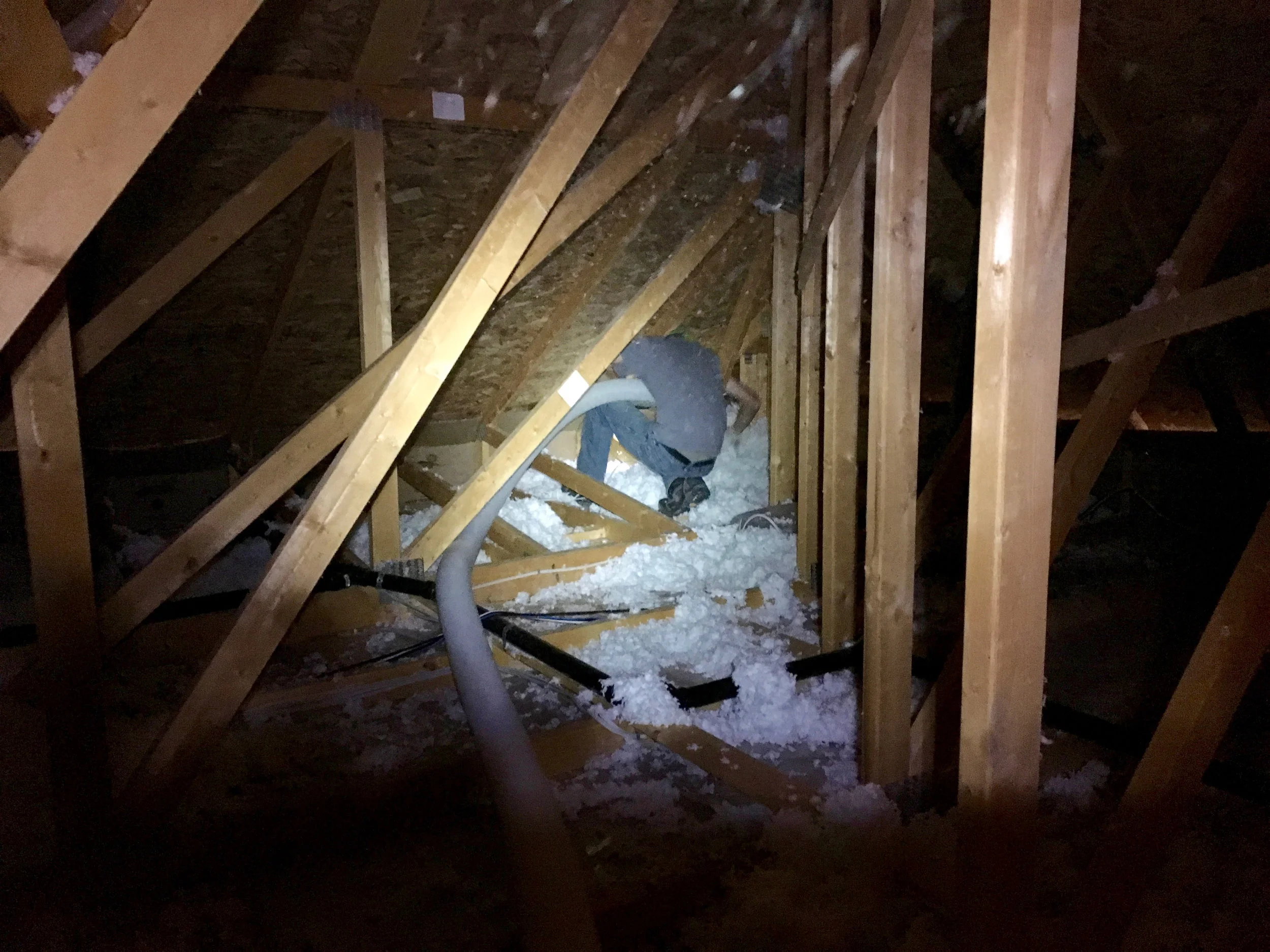 Signature insulation 3.jpg