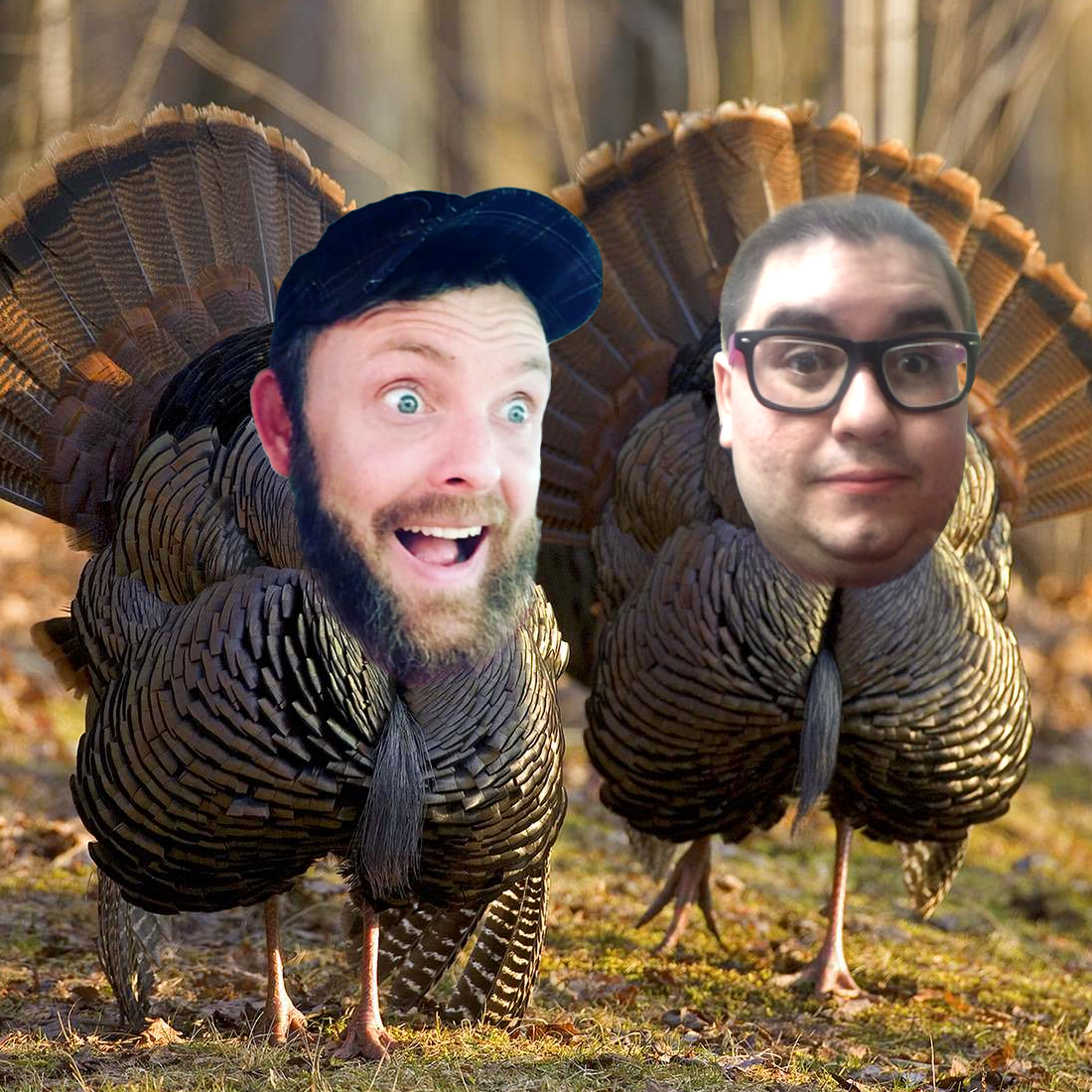 two turkeys.png