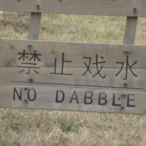 dabble.jpg