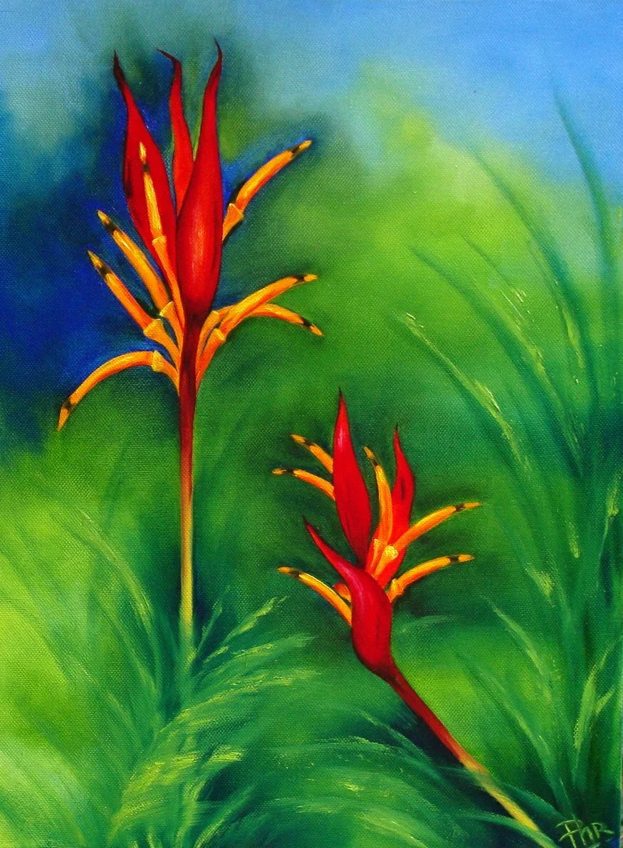 Heliconia Duo