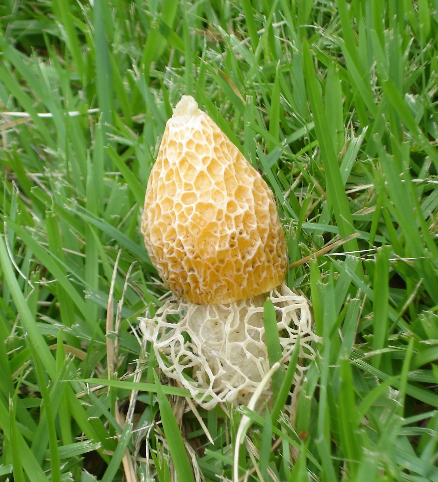 DSC05402.JPG