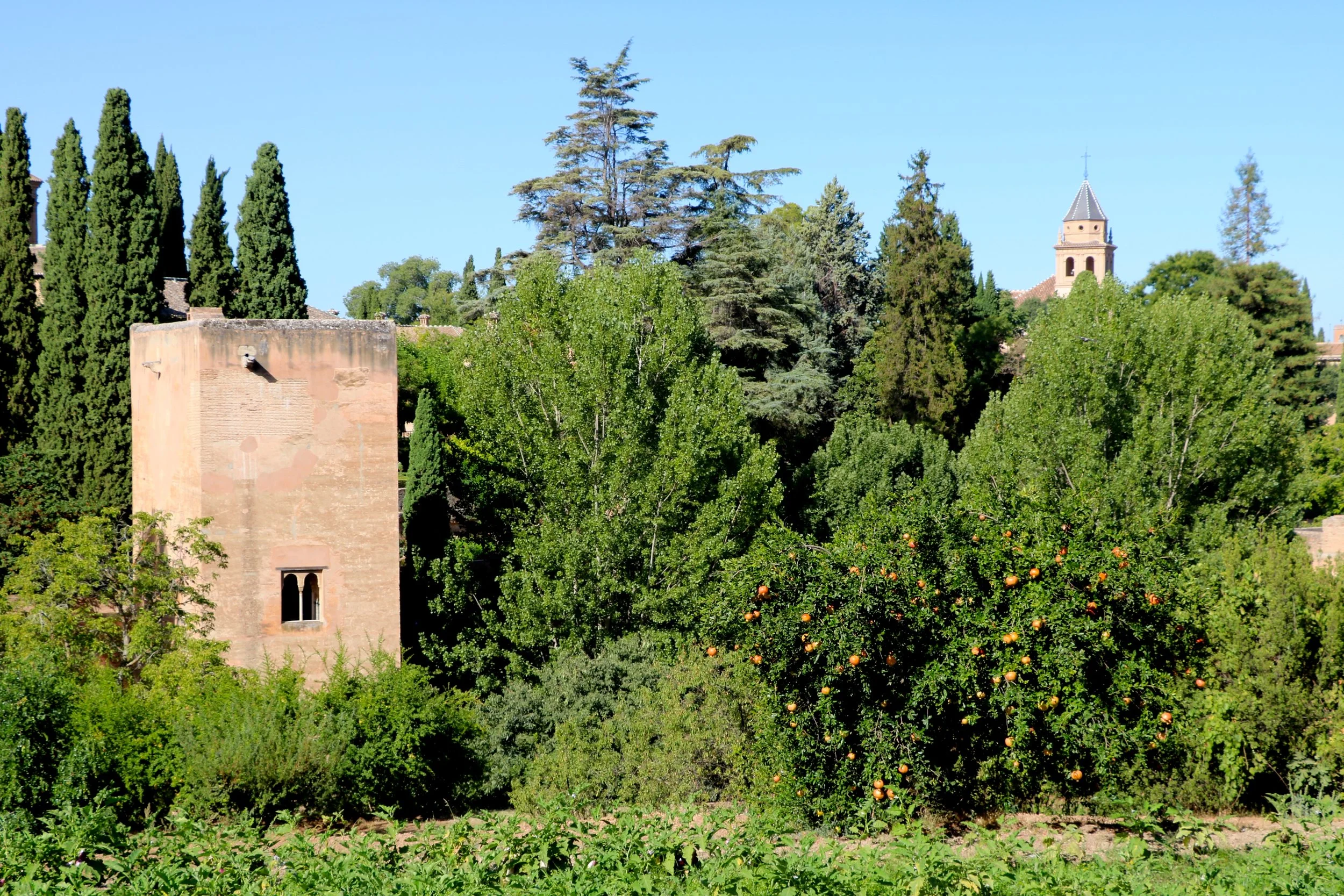 Spain_grenada alhambra 201623.JPG