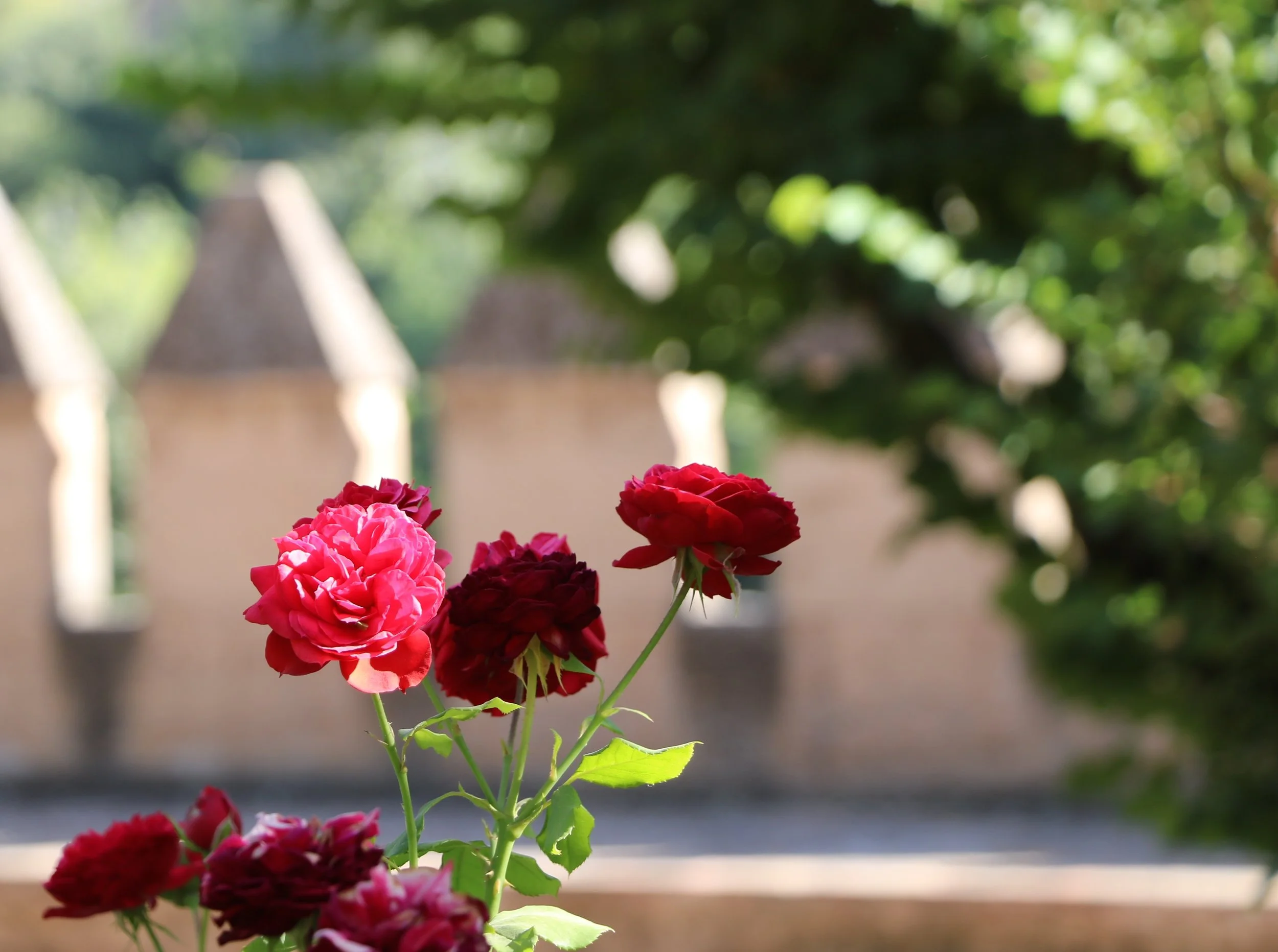 Spain_grenada alhambra 201621.JPG