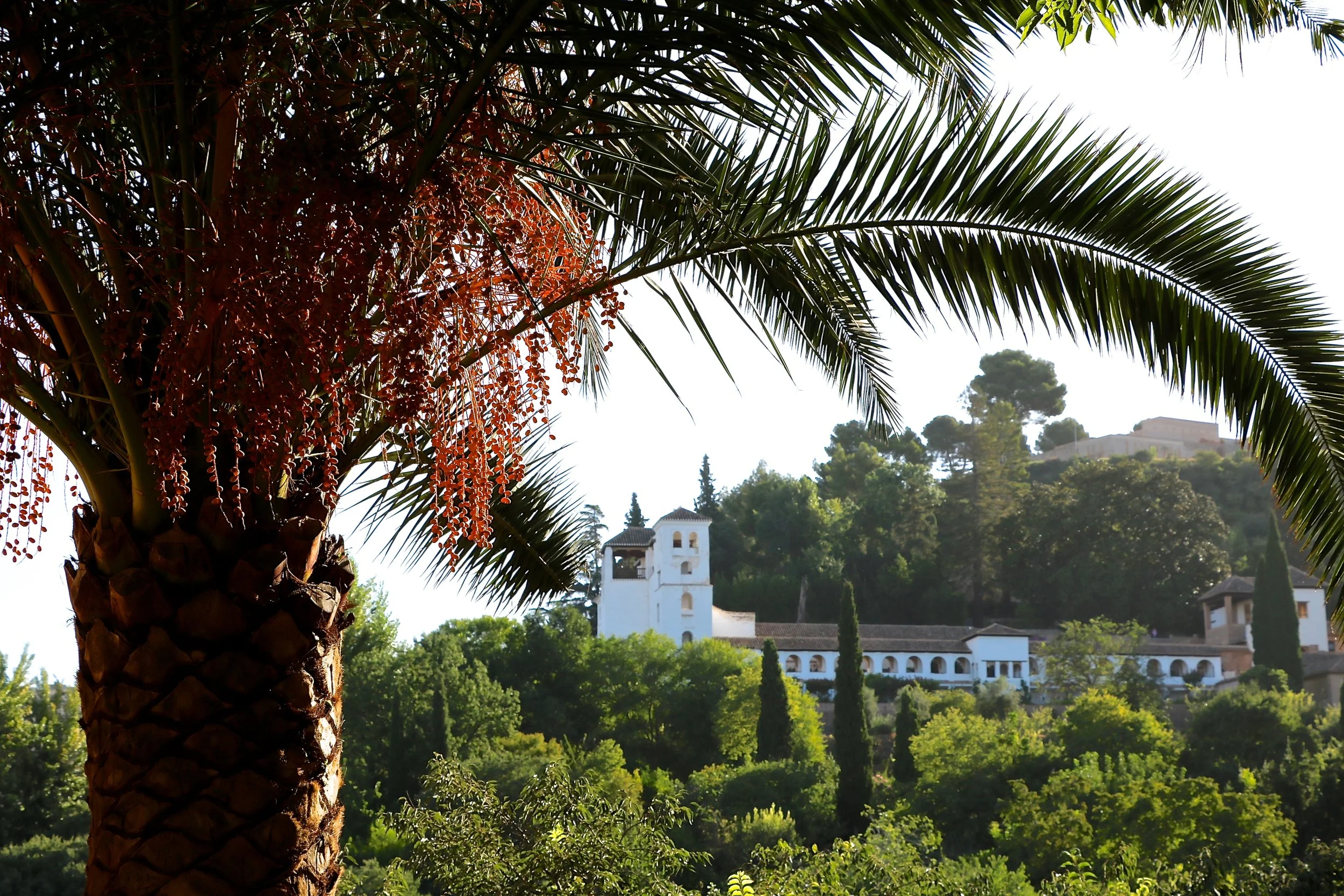 Spain_grenada alhambra 201617.JPG