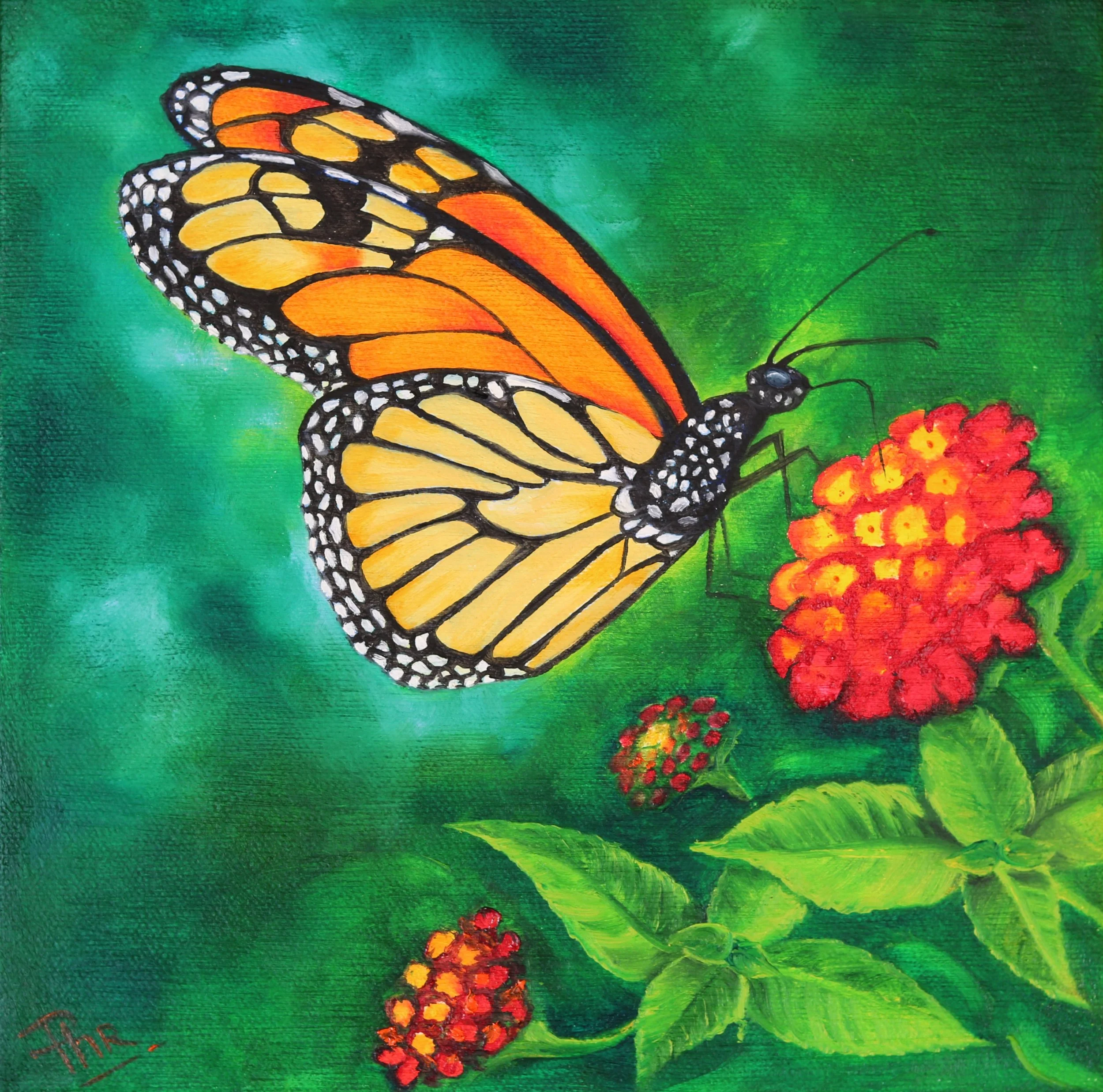 Monarchs love Lantana