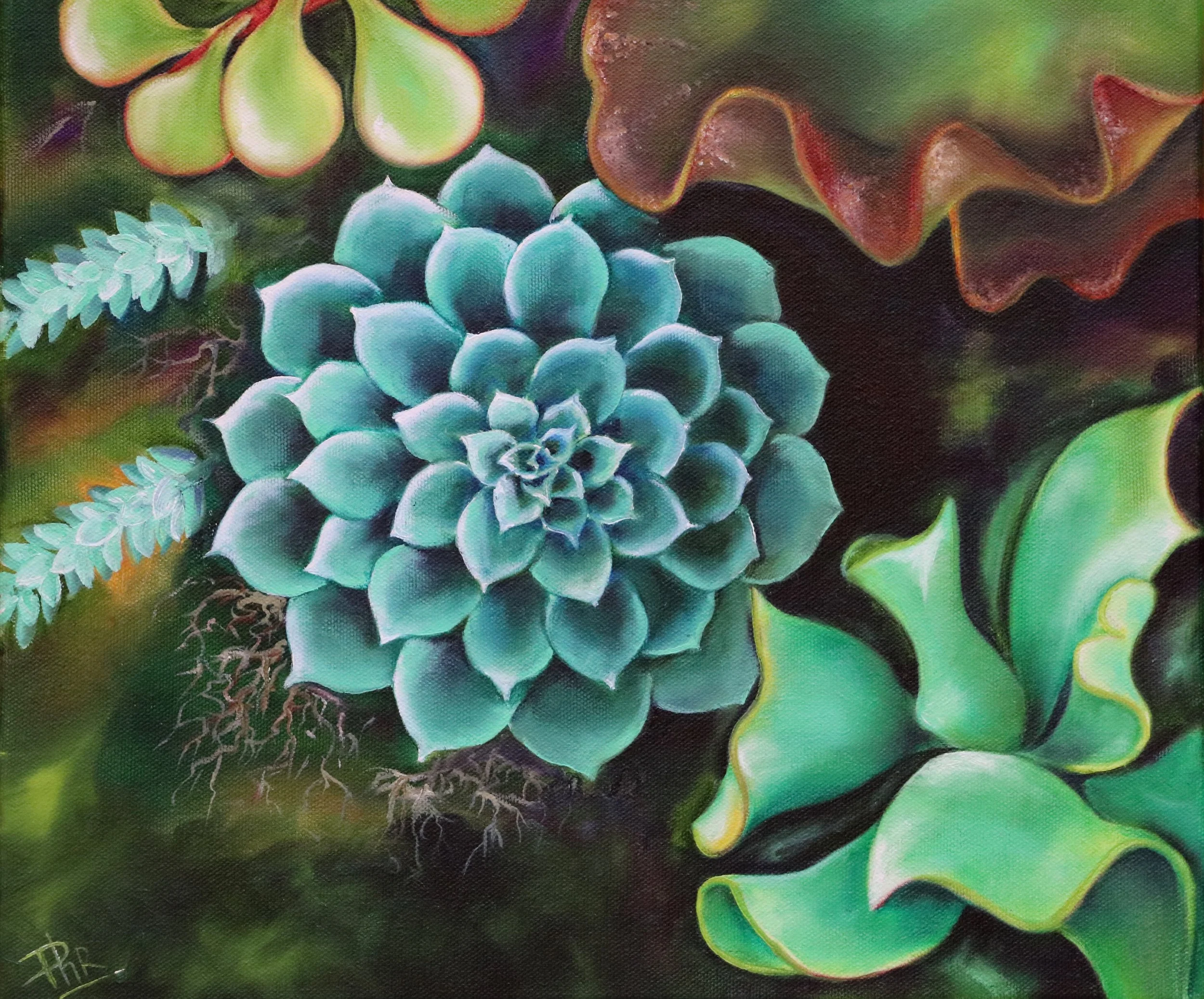 Succulents