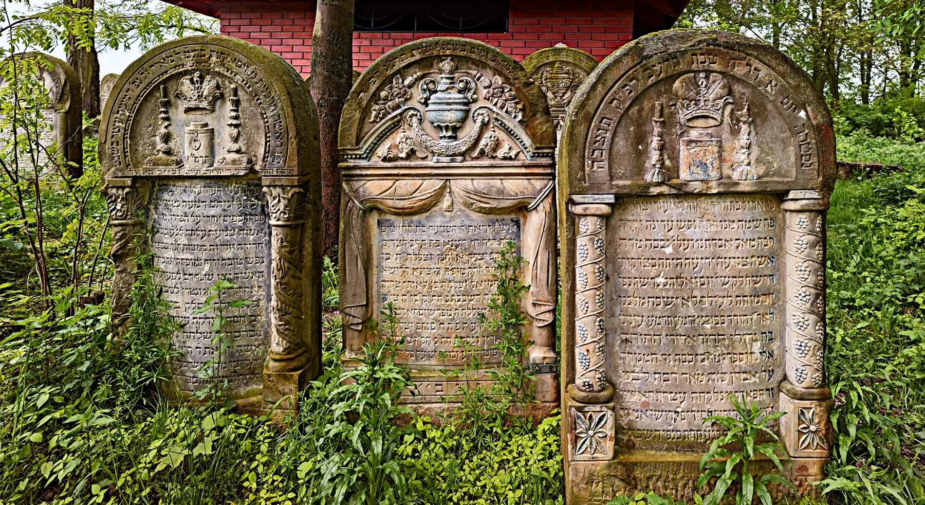  Polychrome Monuments in the Jewish Cemetery, Ozorow, 2014 