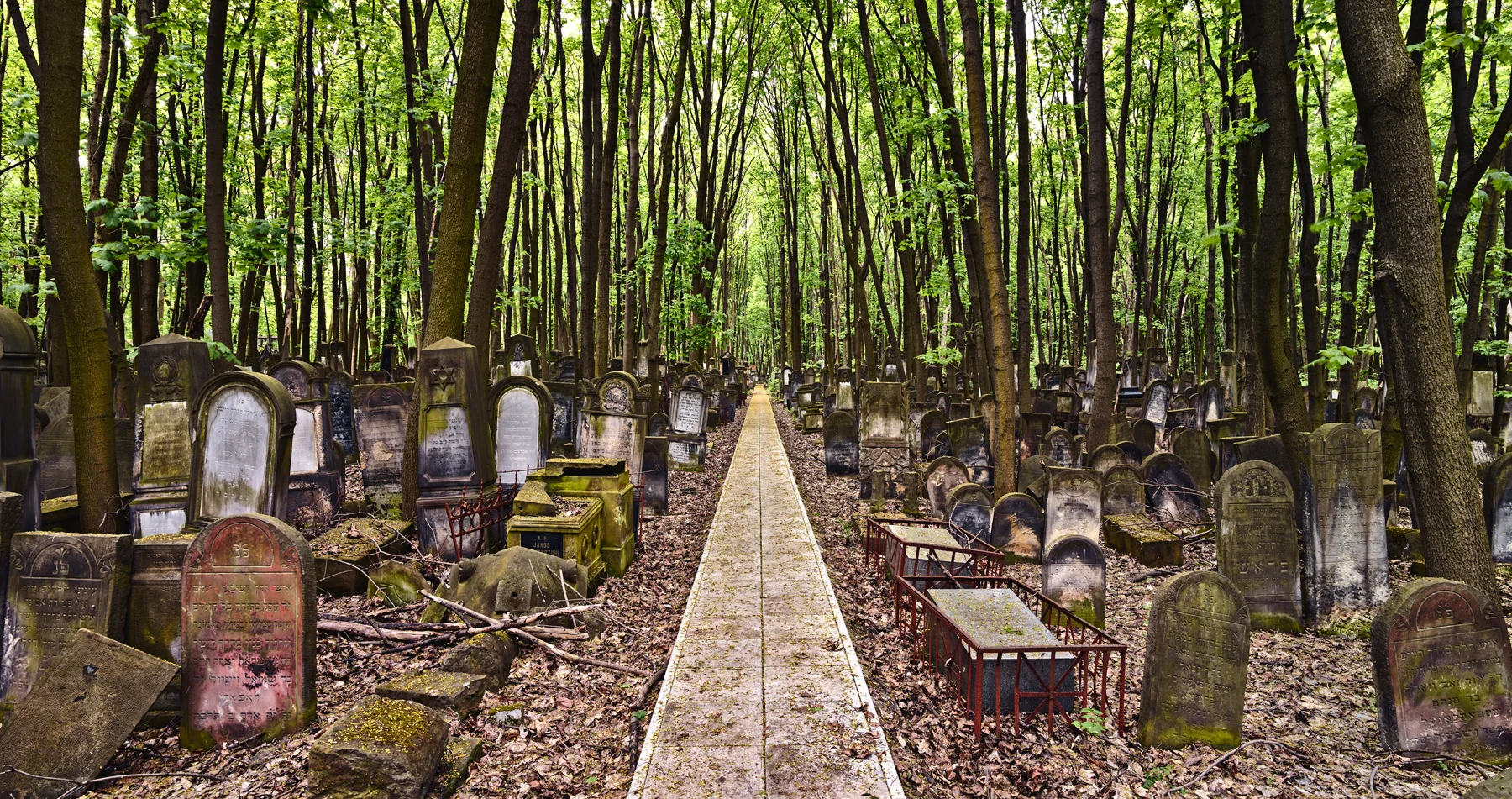  Okopowa Street Jewish Cemetery, Warsaw, 2011 