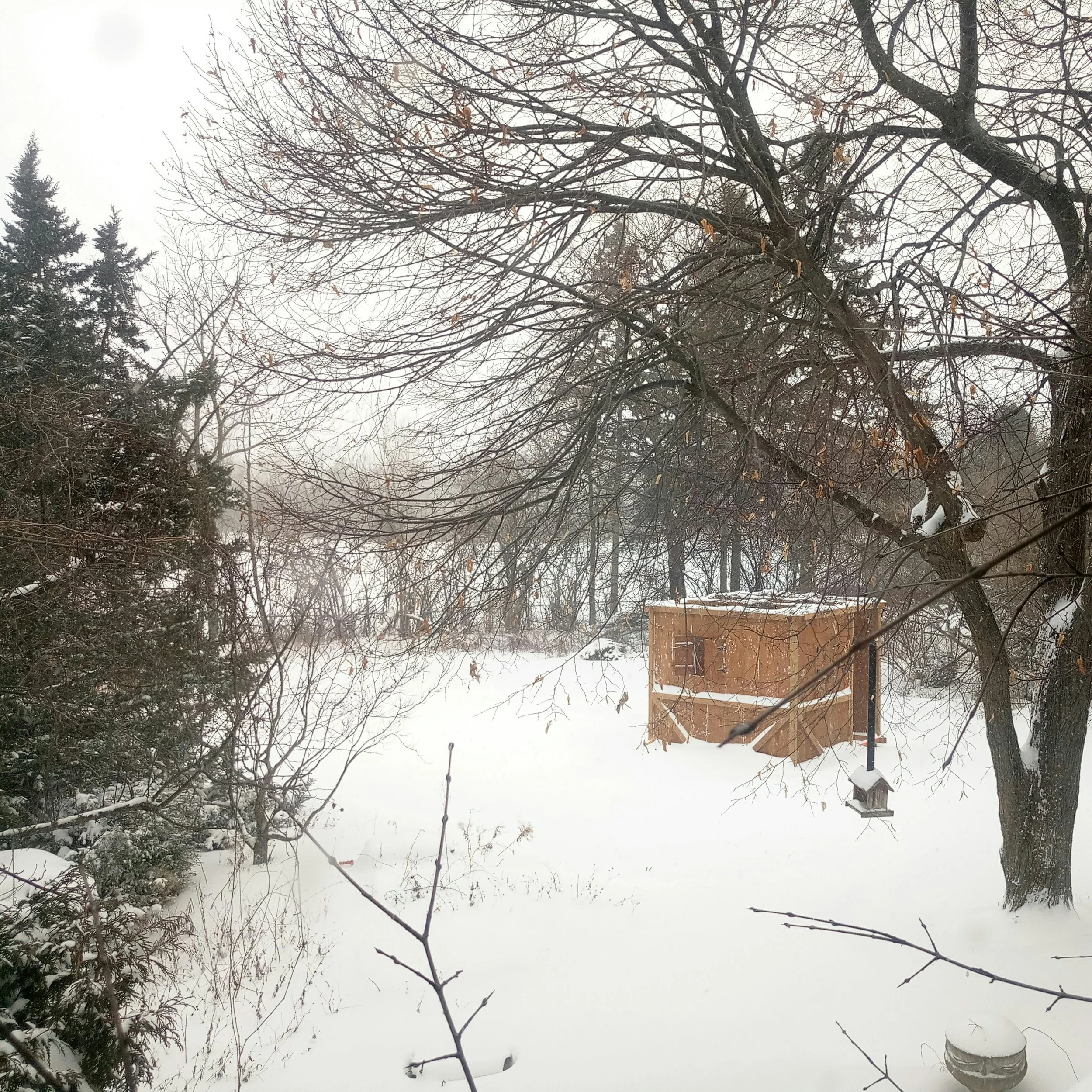 Kingston-wide-snow-view.jpg