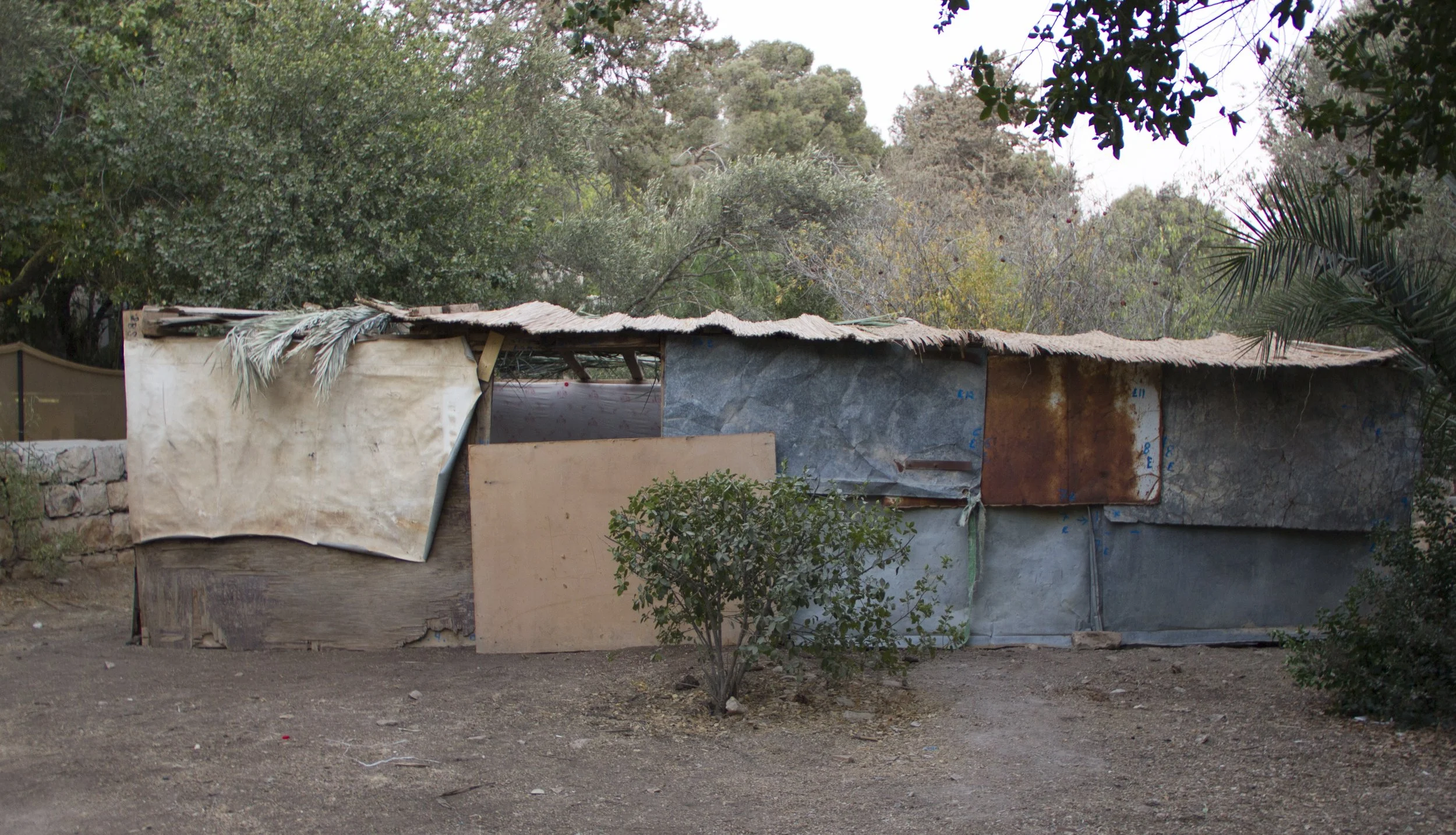 2 Eternal Sukkah, Hansen House (photo by Diego Rotnan) copy.jpg