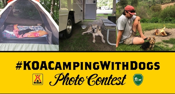 Partnership with @CampingWithDogs on Instagram to co-host a month-long Photo Contest with KOA