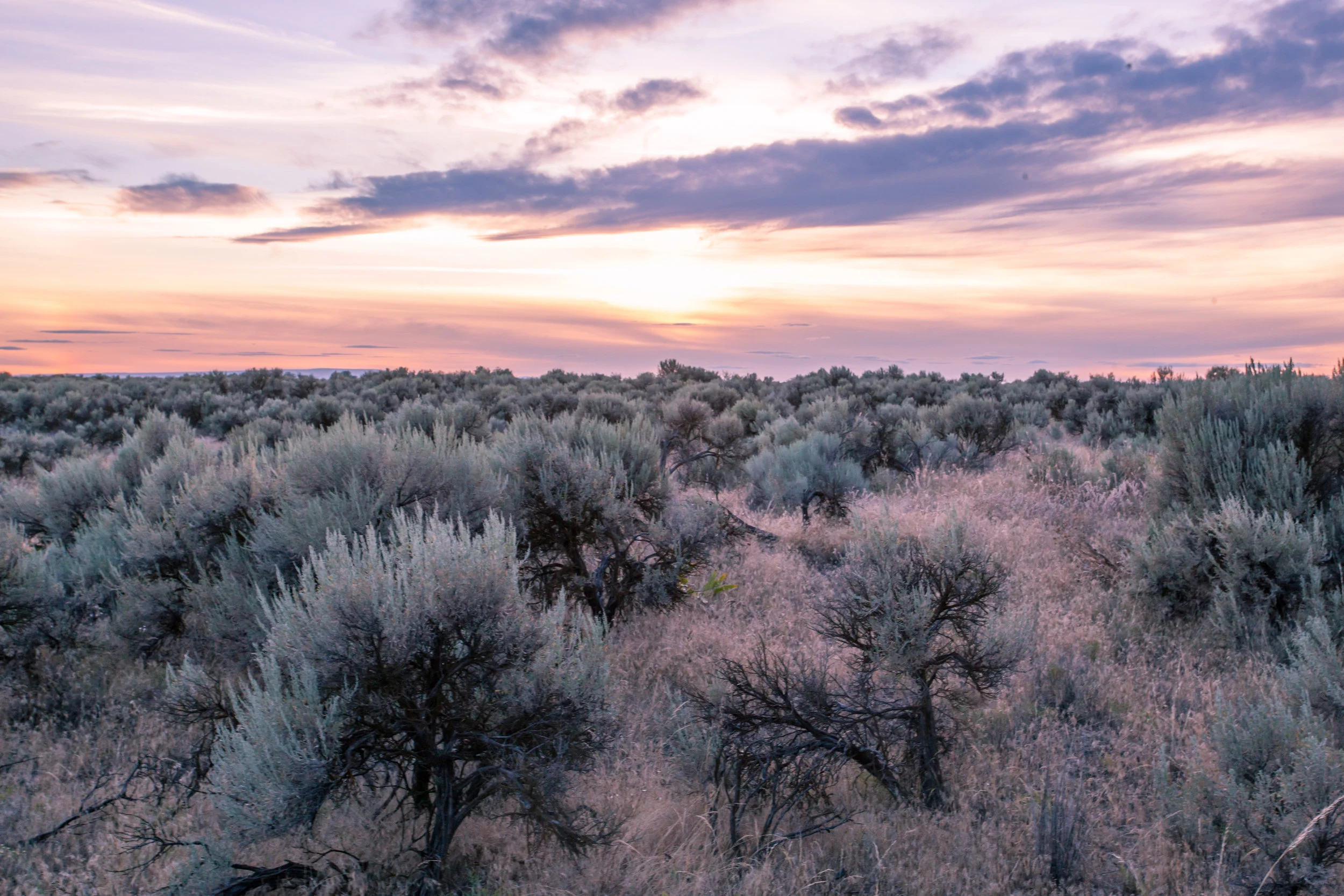 Desert Sundown