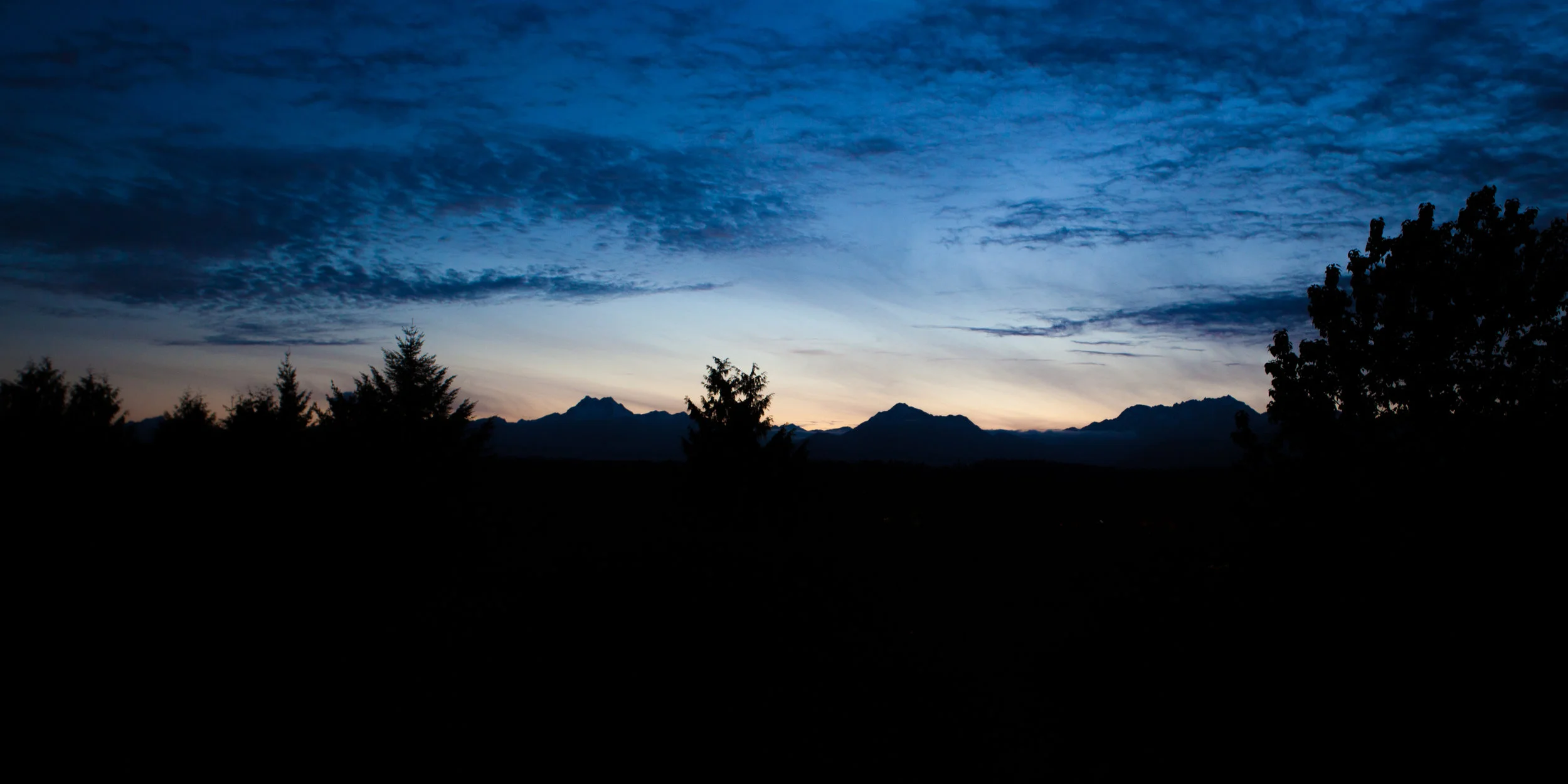 Backyard Mountain View